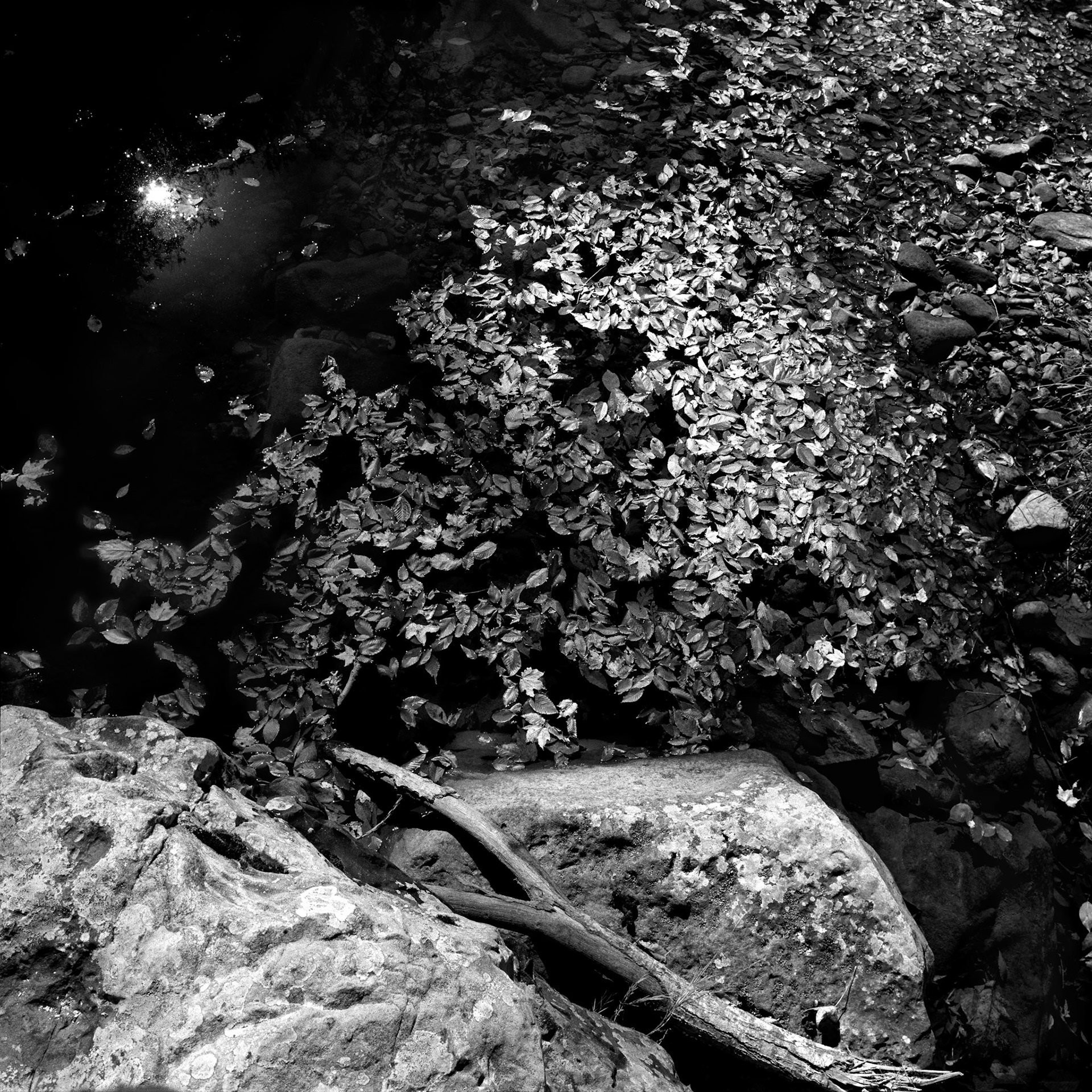 Buffalo River #15 : Arkansas, October 2003