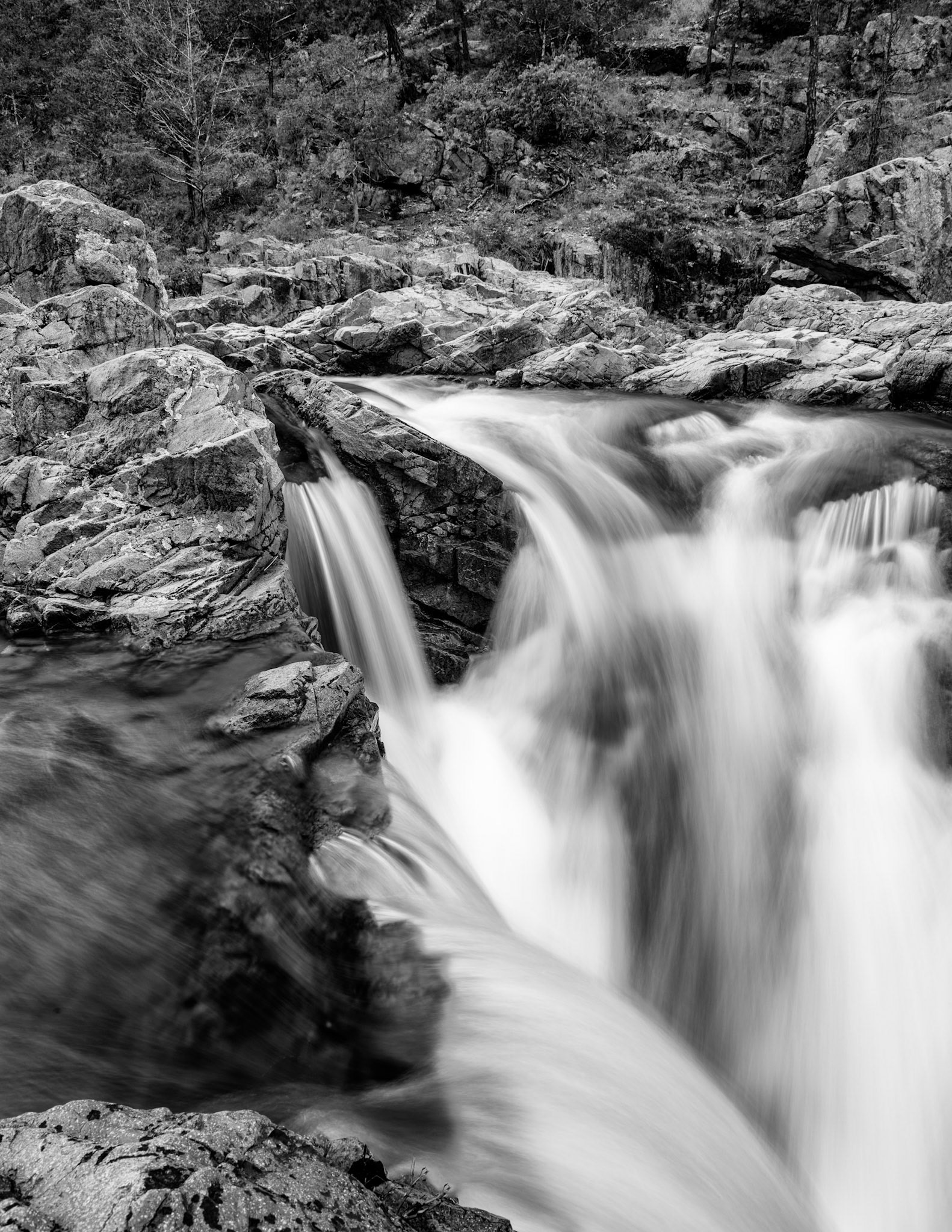 Rocky Creek Shut Ins #4 : Missouri, June 2015