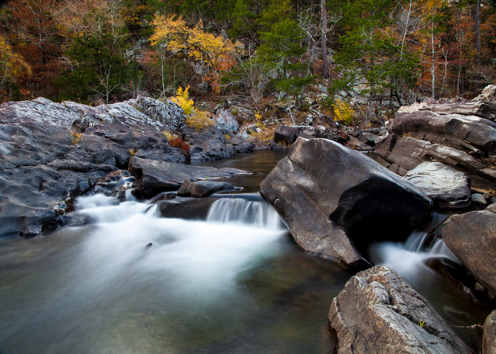 Cossatot River Natural Area #19 : Arkansas, November 2012