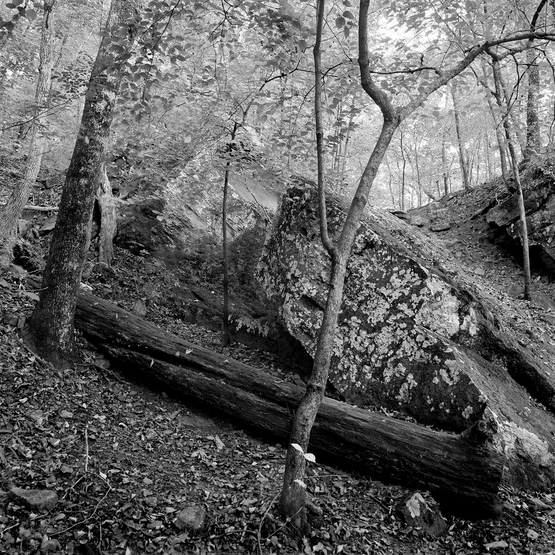 Devils Den #6 : Arkansas, October 1993