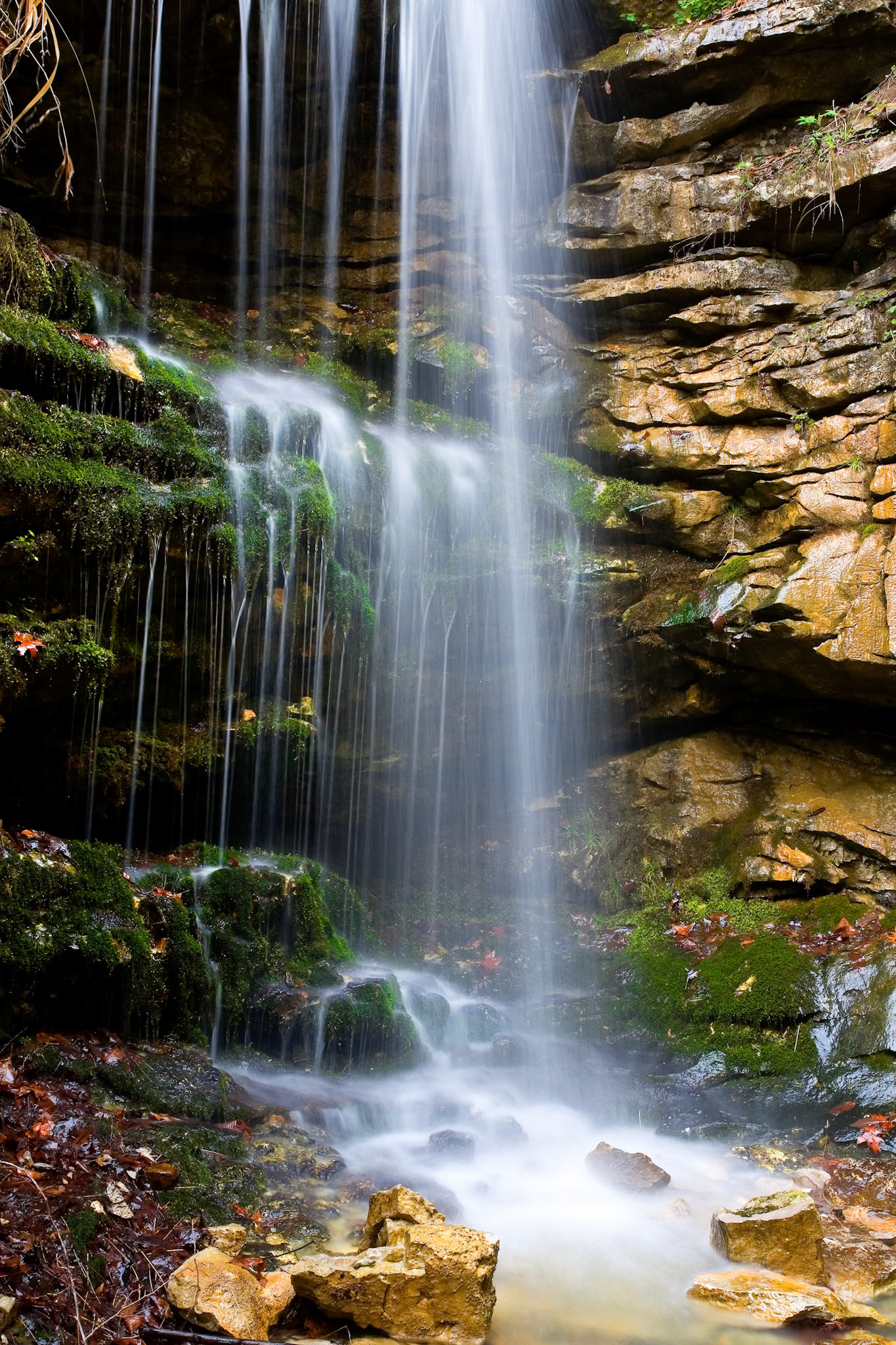 Lost Valley #14 : Arkansas, April 2006