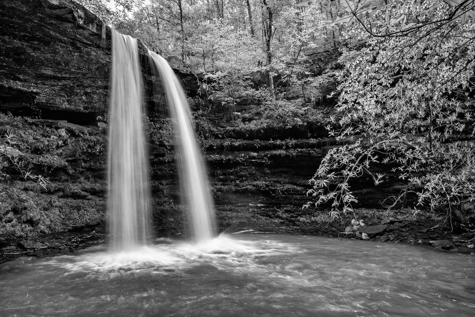 Buffalo National River Area #16 : Arkansas, April 2017