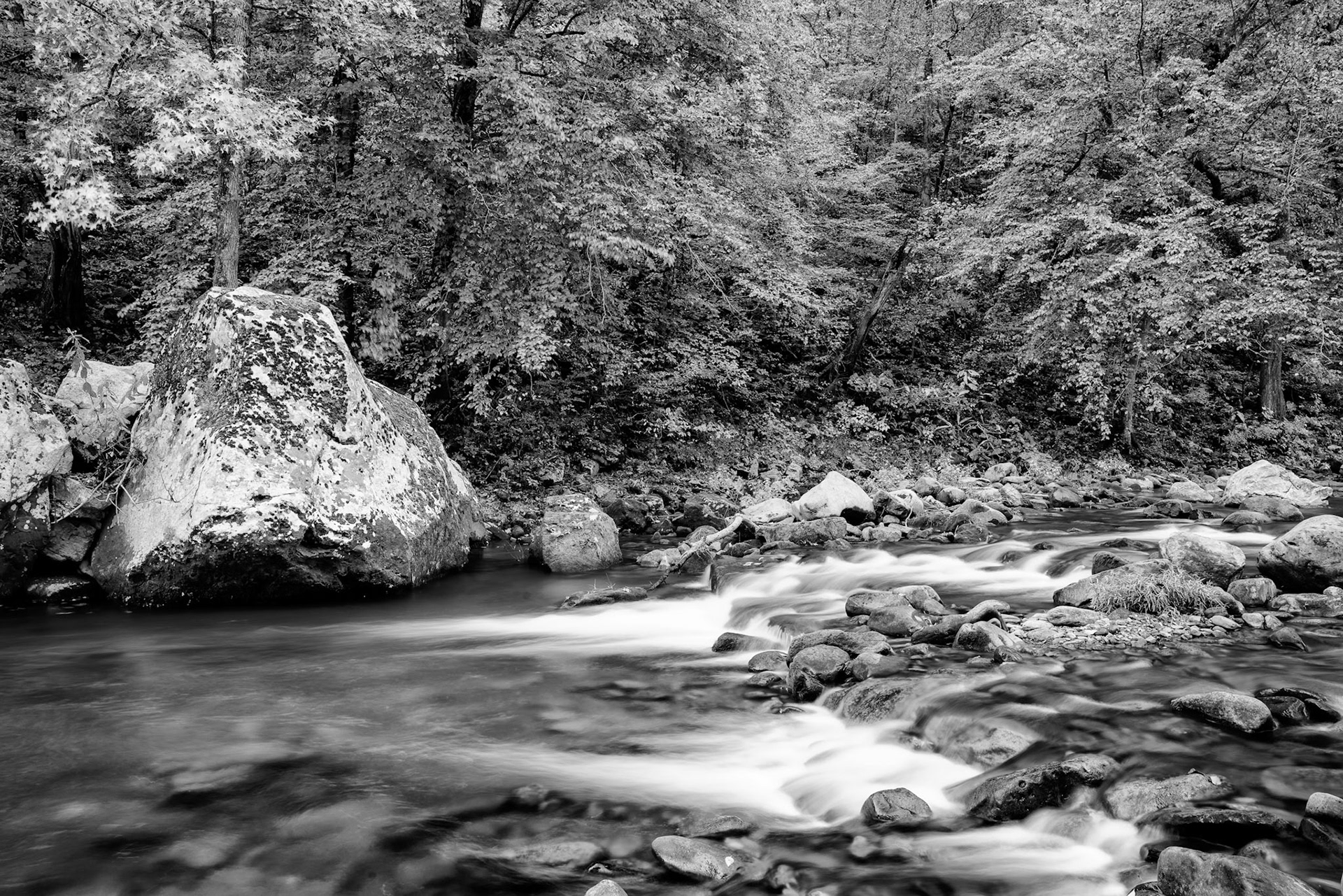 Buffalo River #17 : Arkansas, October 2018