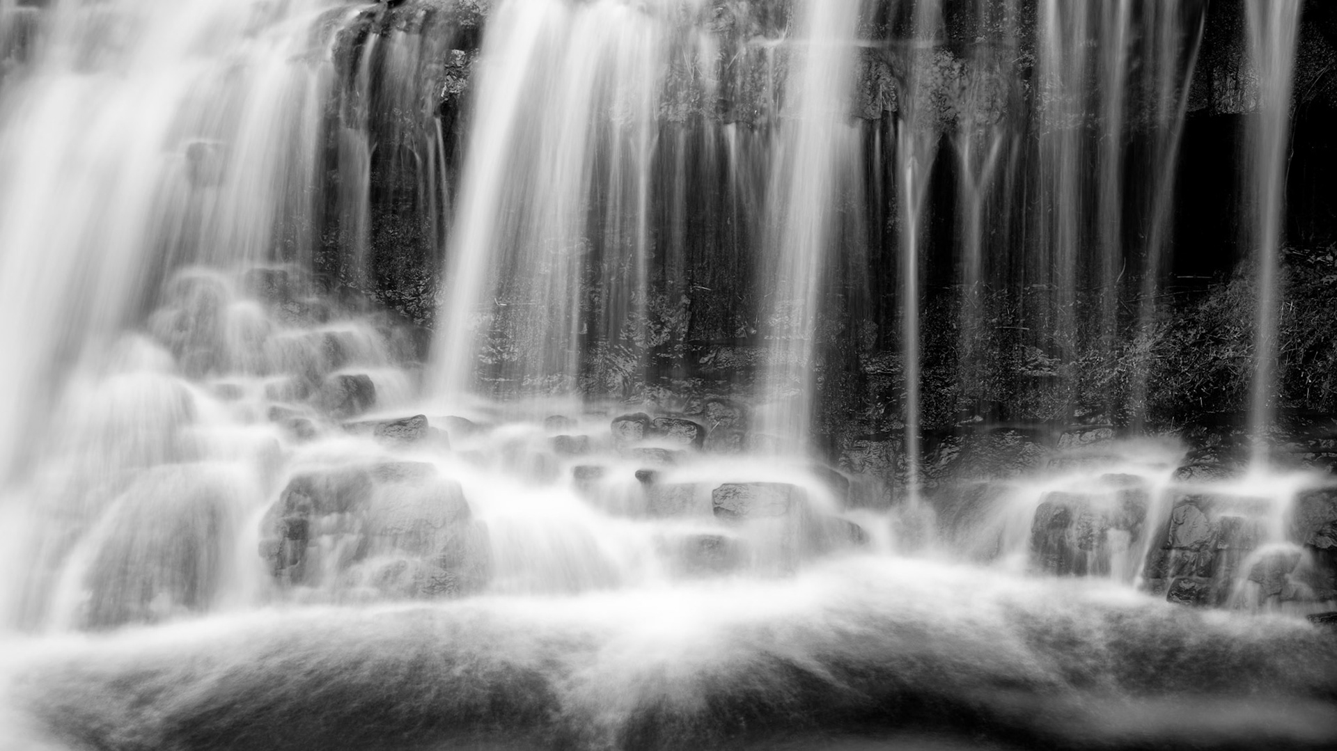 Ouachita National Forest #2 : Arkansas, April 2019