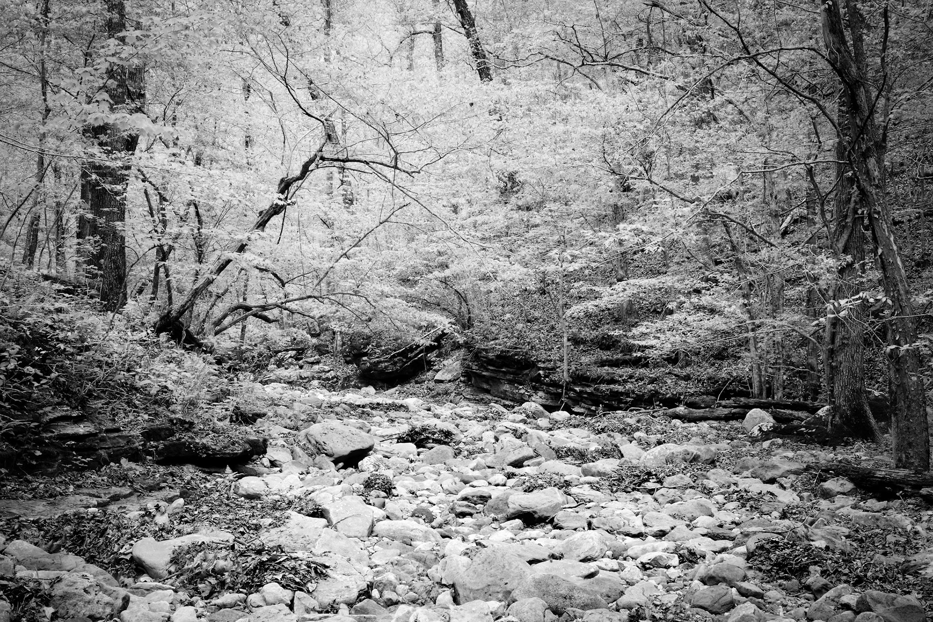 Indian Creek #6 : Arkansas, April 2006