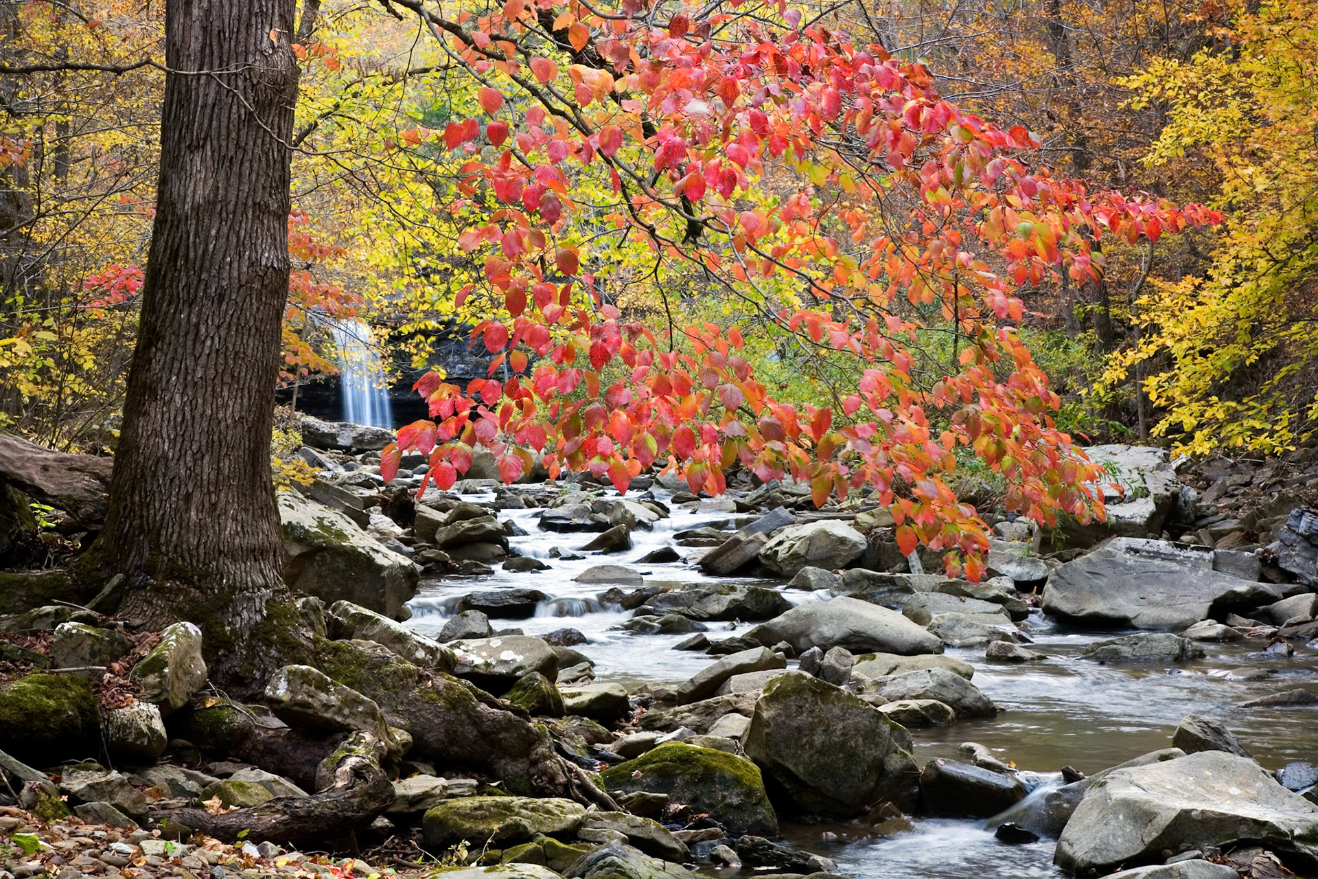 Richland Creek Wilderness #38 : Arkansas, October 2006