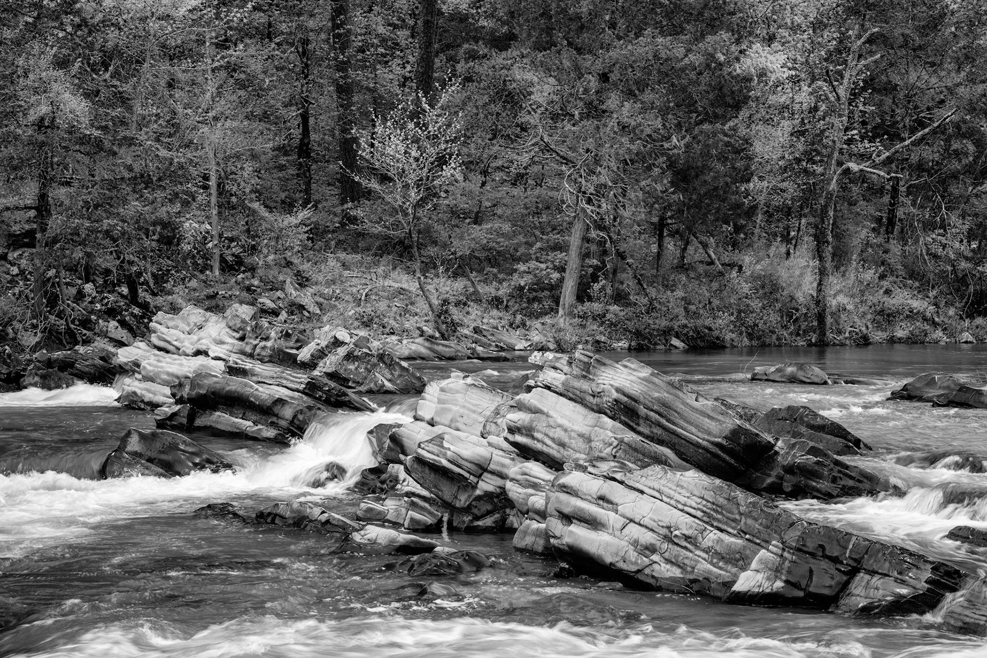 Cossatot River Natural Area #20 : Arkansas, April 2019