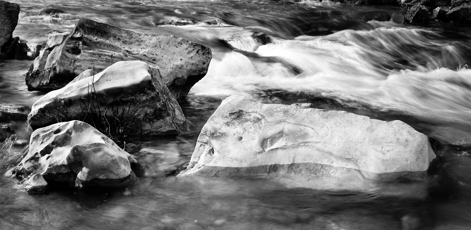 Mincy Conservation Area  #14 : Missouri, November 2004