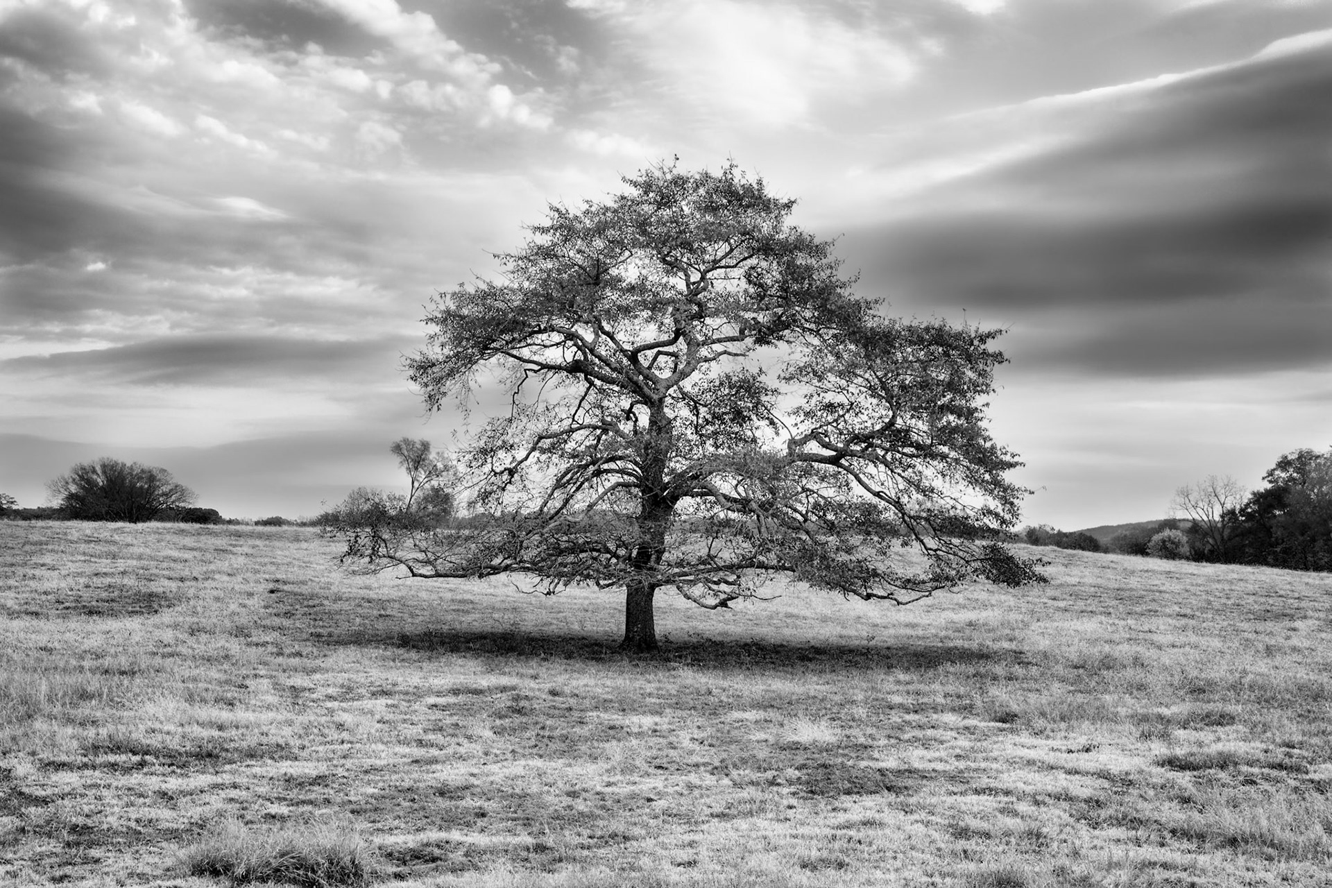 Petit Jean Valley #2 : Arkansas, November 2011