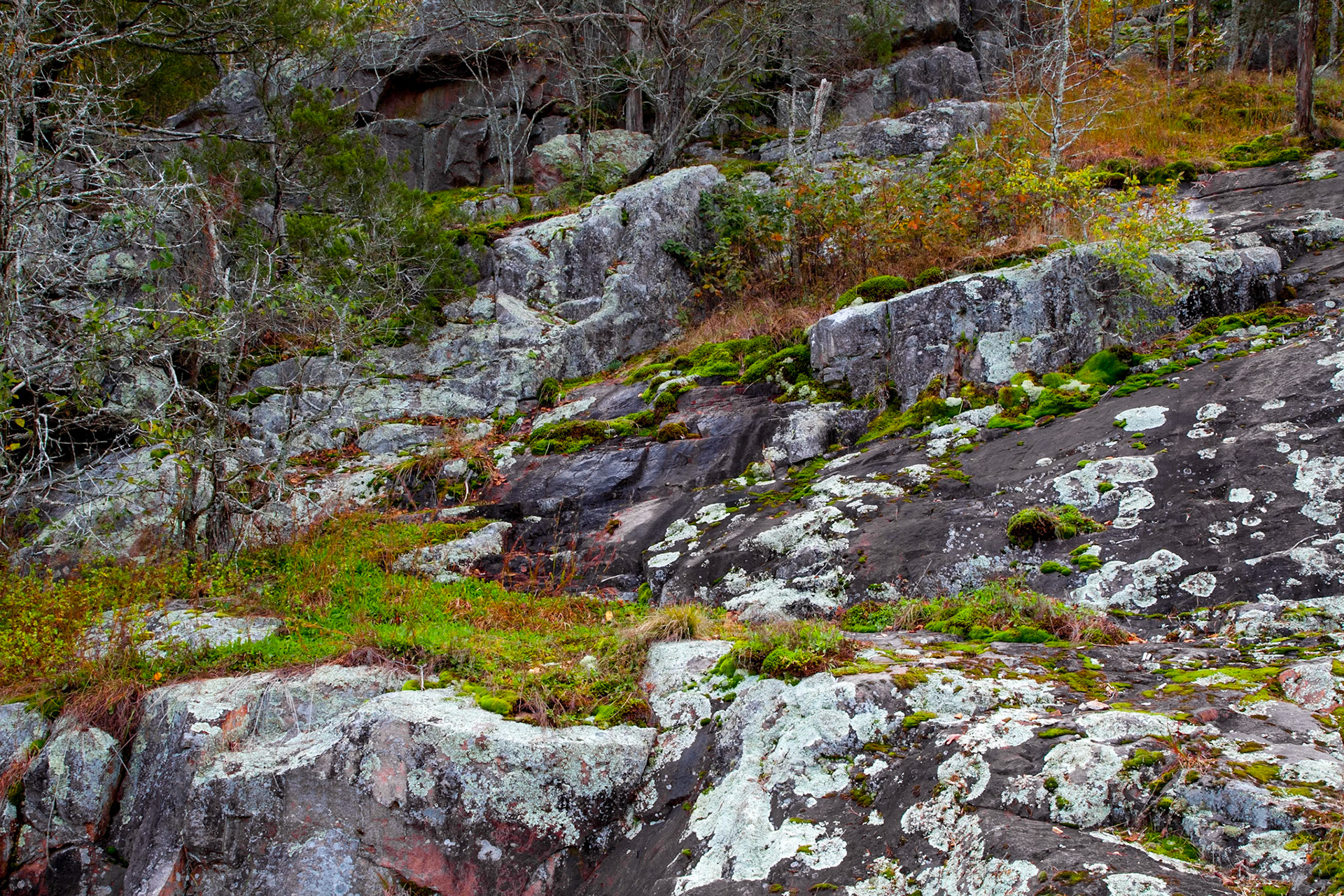 Rocky Creek #9 : Missouri, October 2013