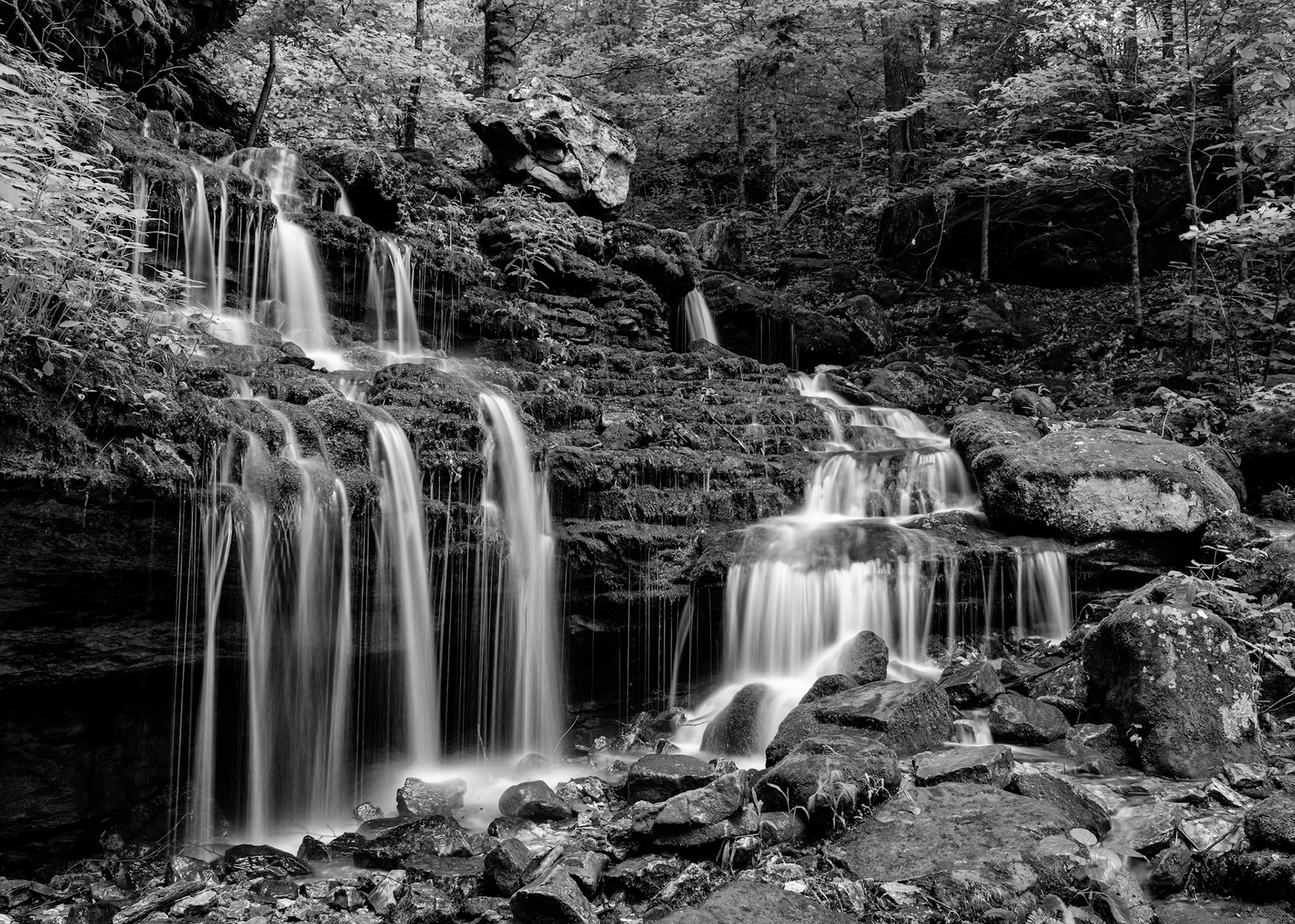 Lost Valley #27 : Arkansas, May 2015