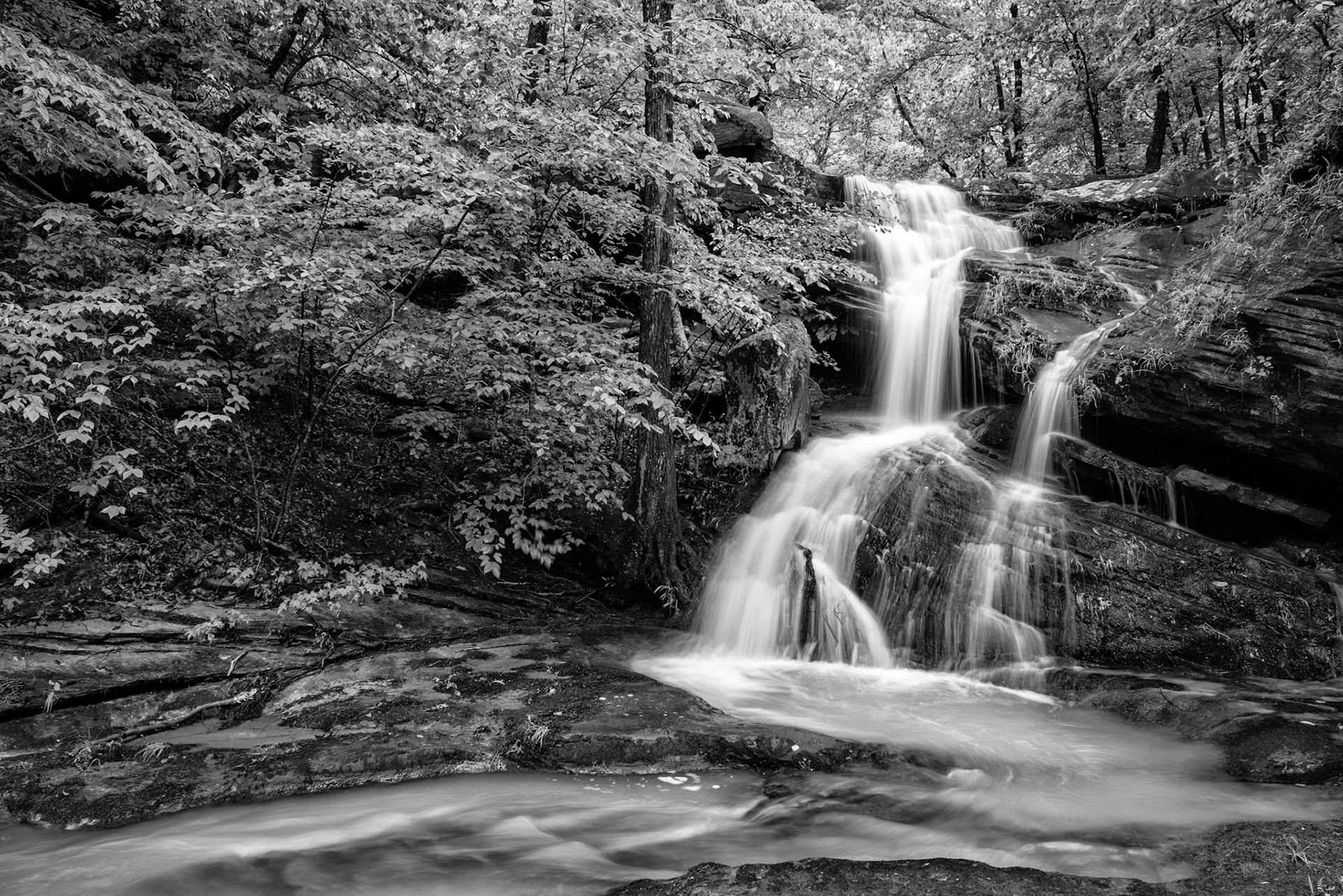 Stepp Creek Falls #1 : Akansas, May 2017