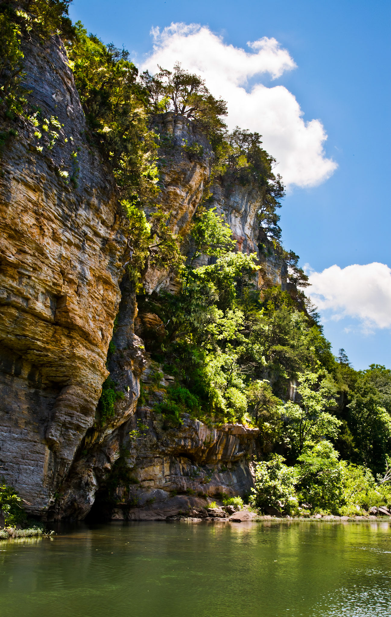 Buffalo River #25 : Arkansas, June 2008