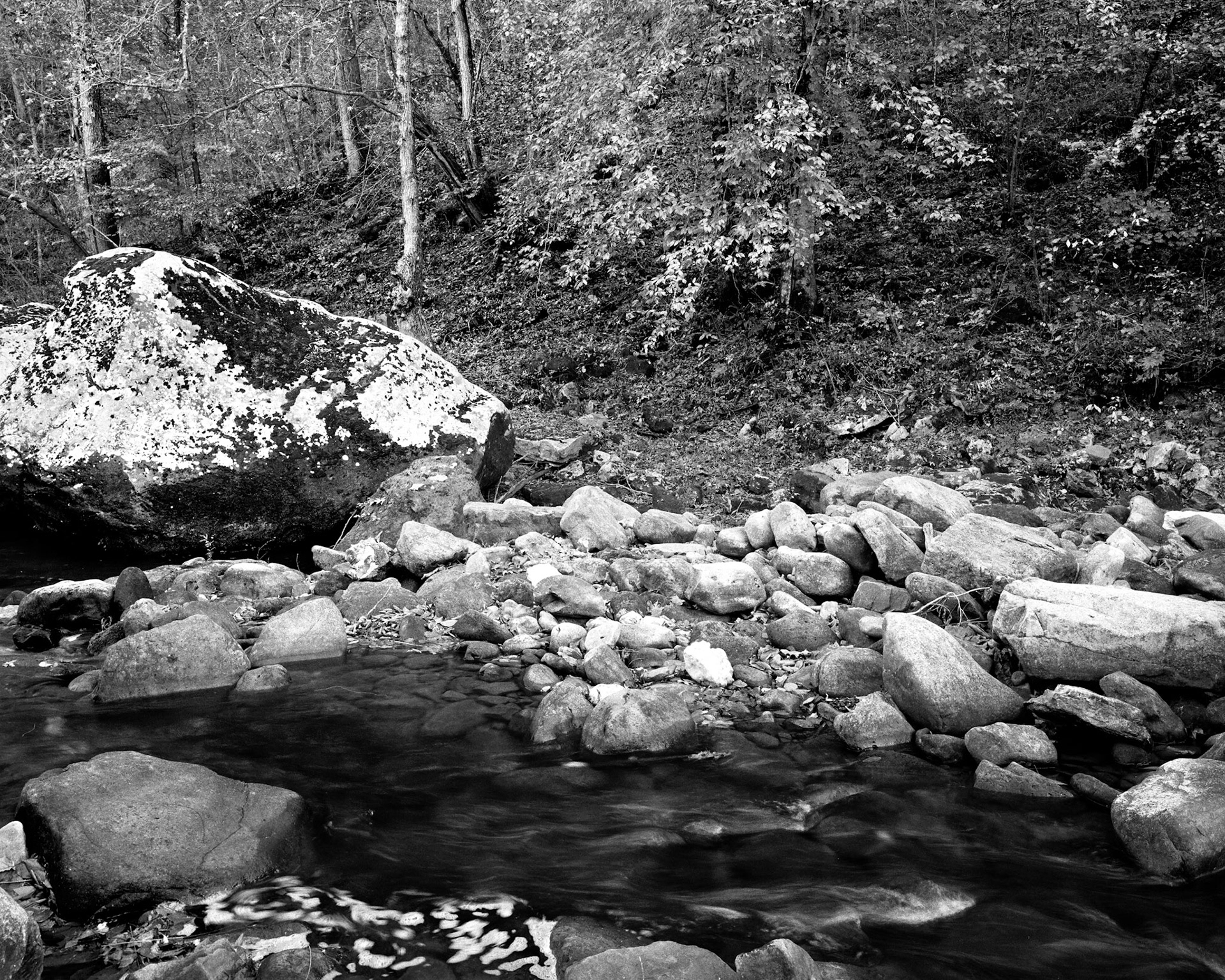 Buffalo River #12 : Arkansas, October 2003