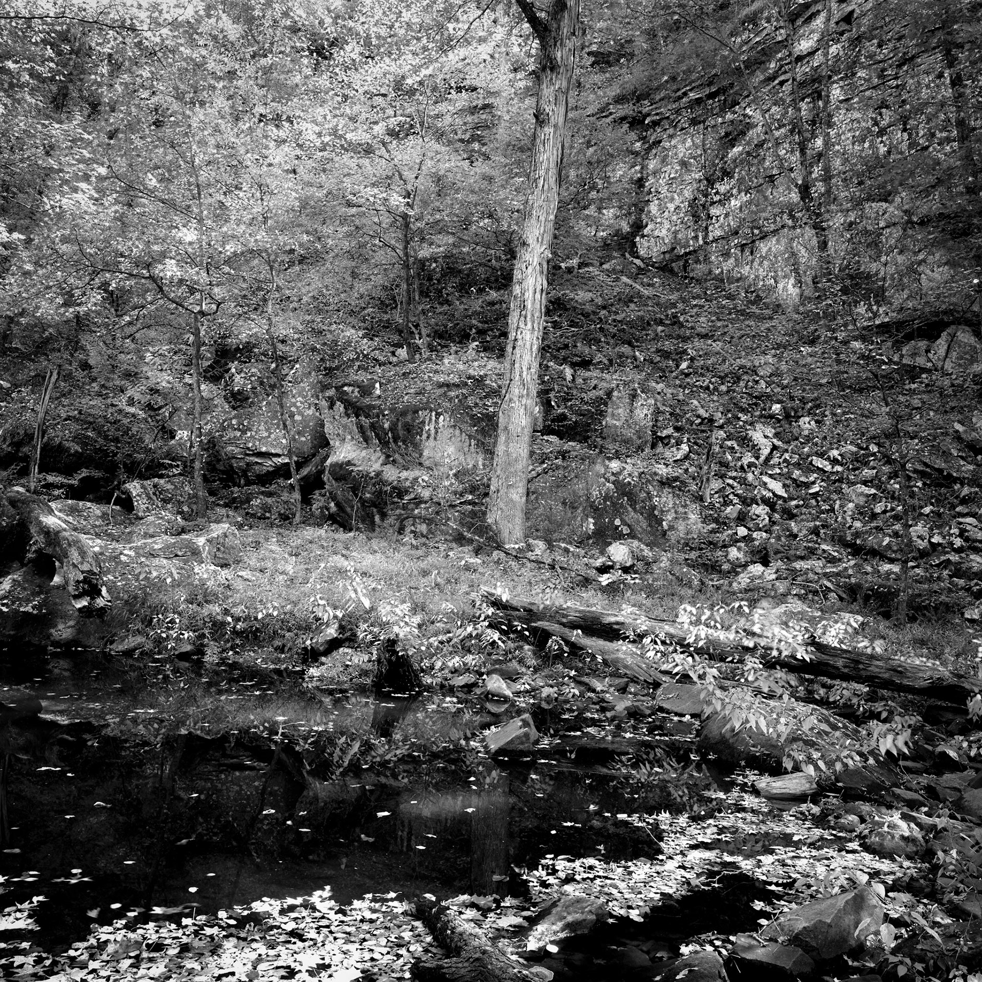 Petit Jean #15 : Arkansas, October 2001