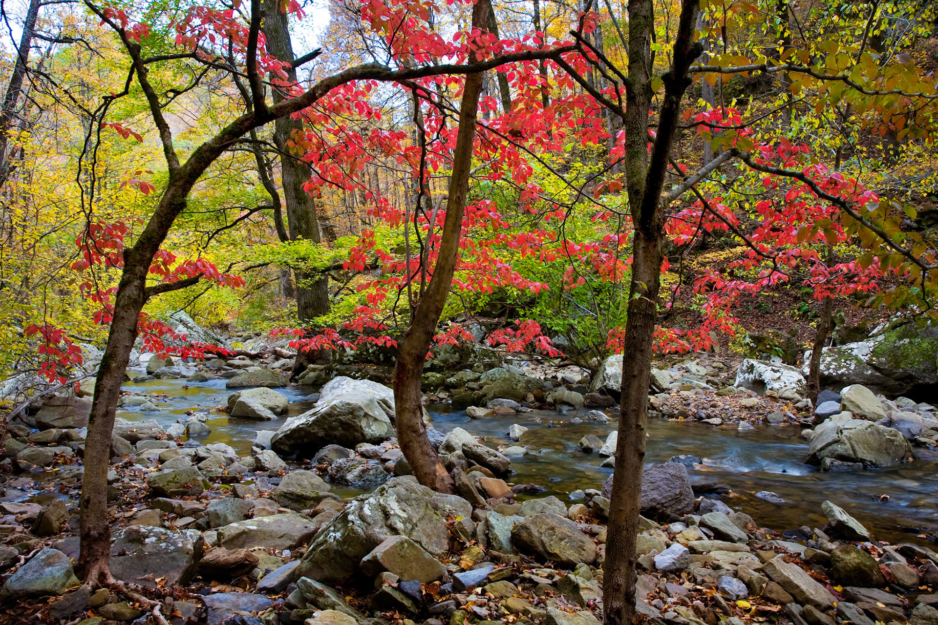 Richland Creek Wilderness #10 : Arkansas, October 2006