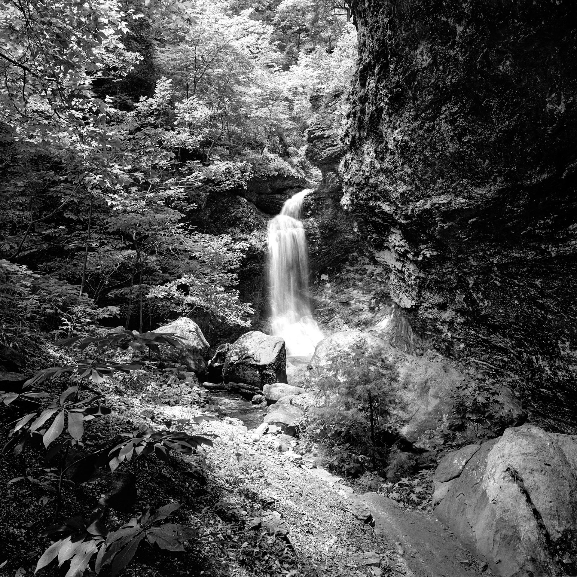 Lost Valley #9 : Arkansas, June 2000