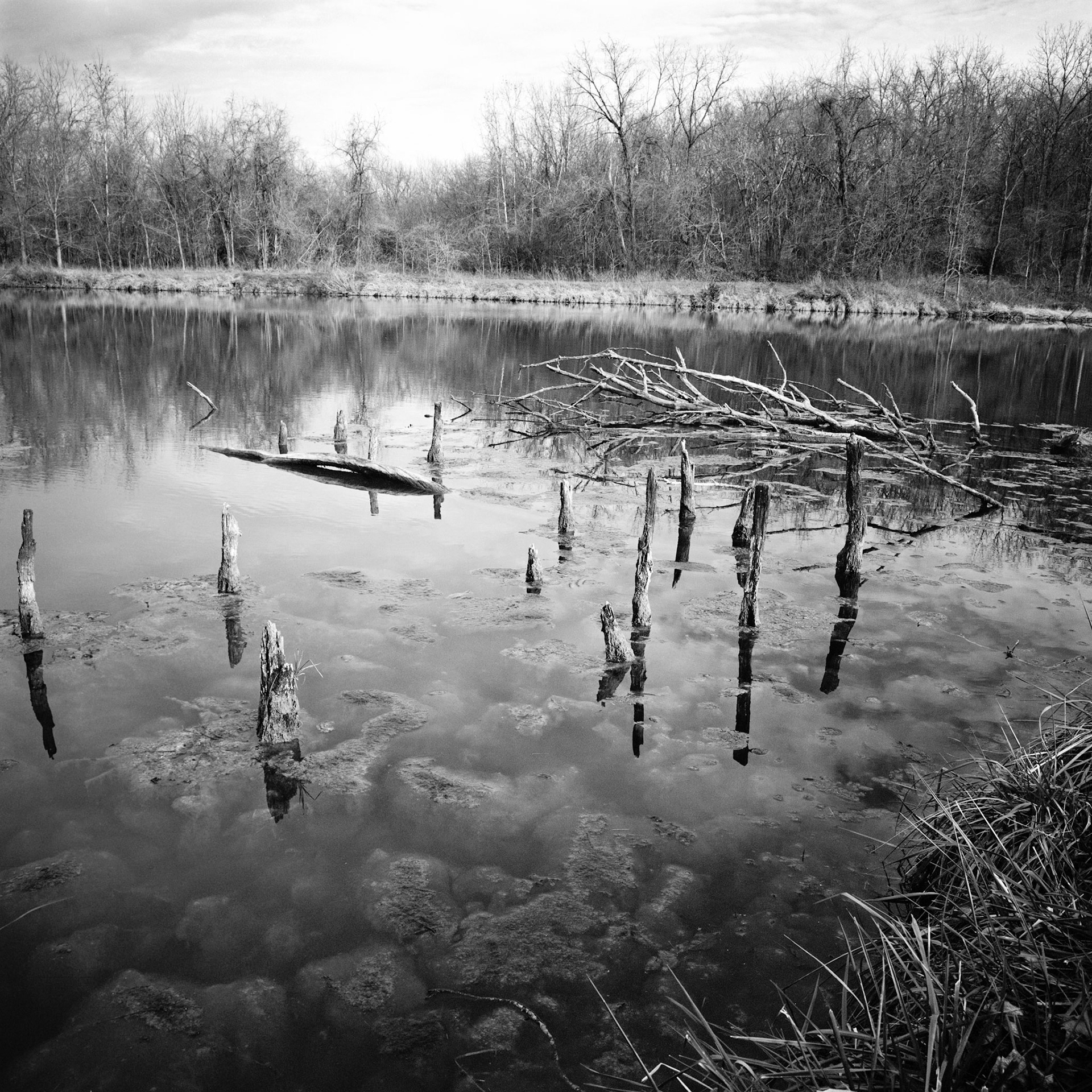 Ritter Springs #1 : Missouri, November 2001