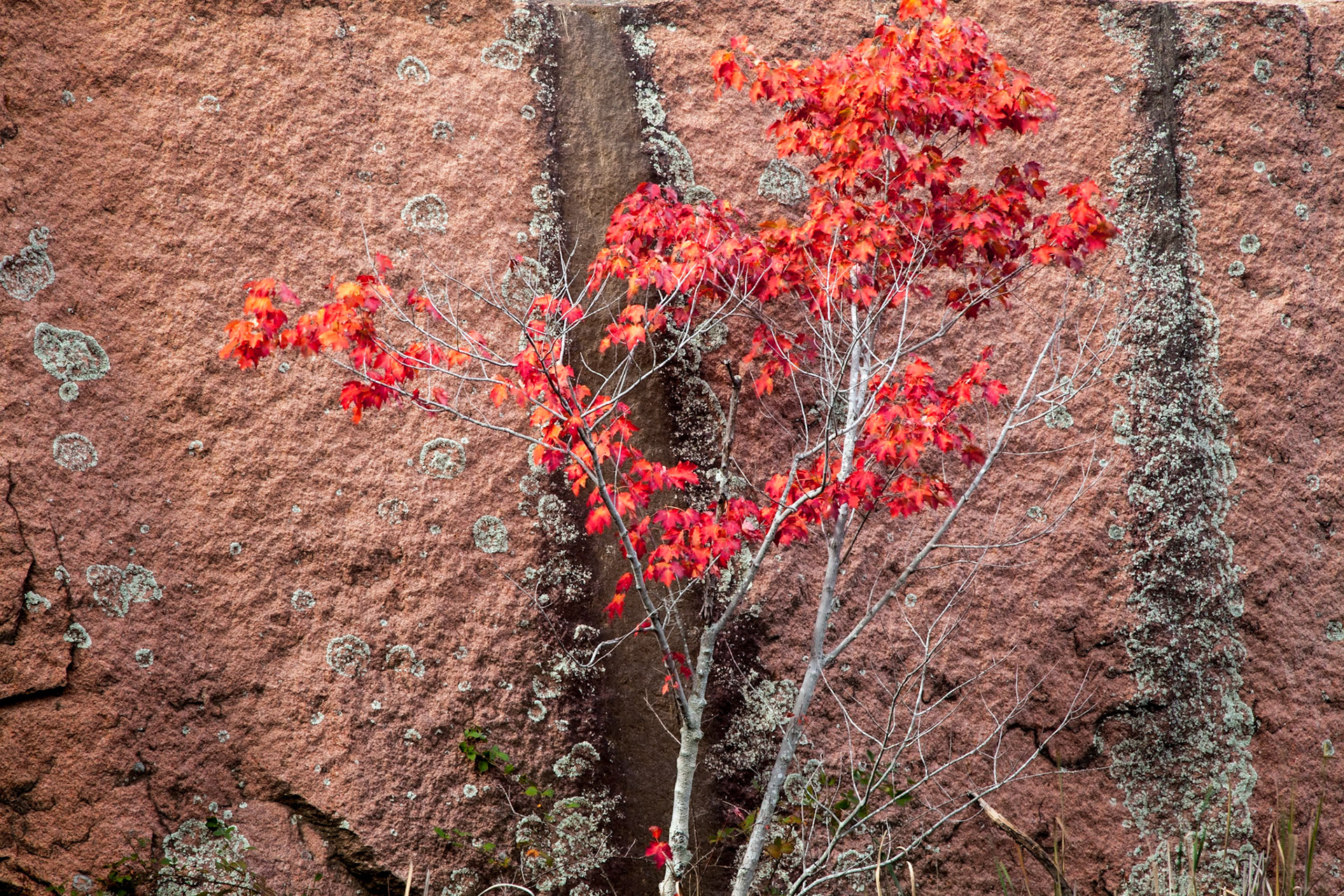Elephant Rocks #16 : Missouri, October 2013