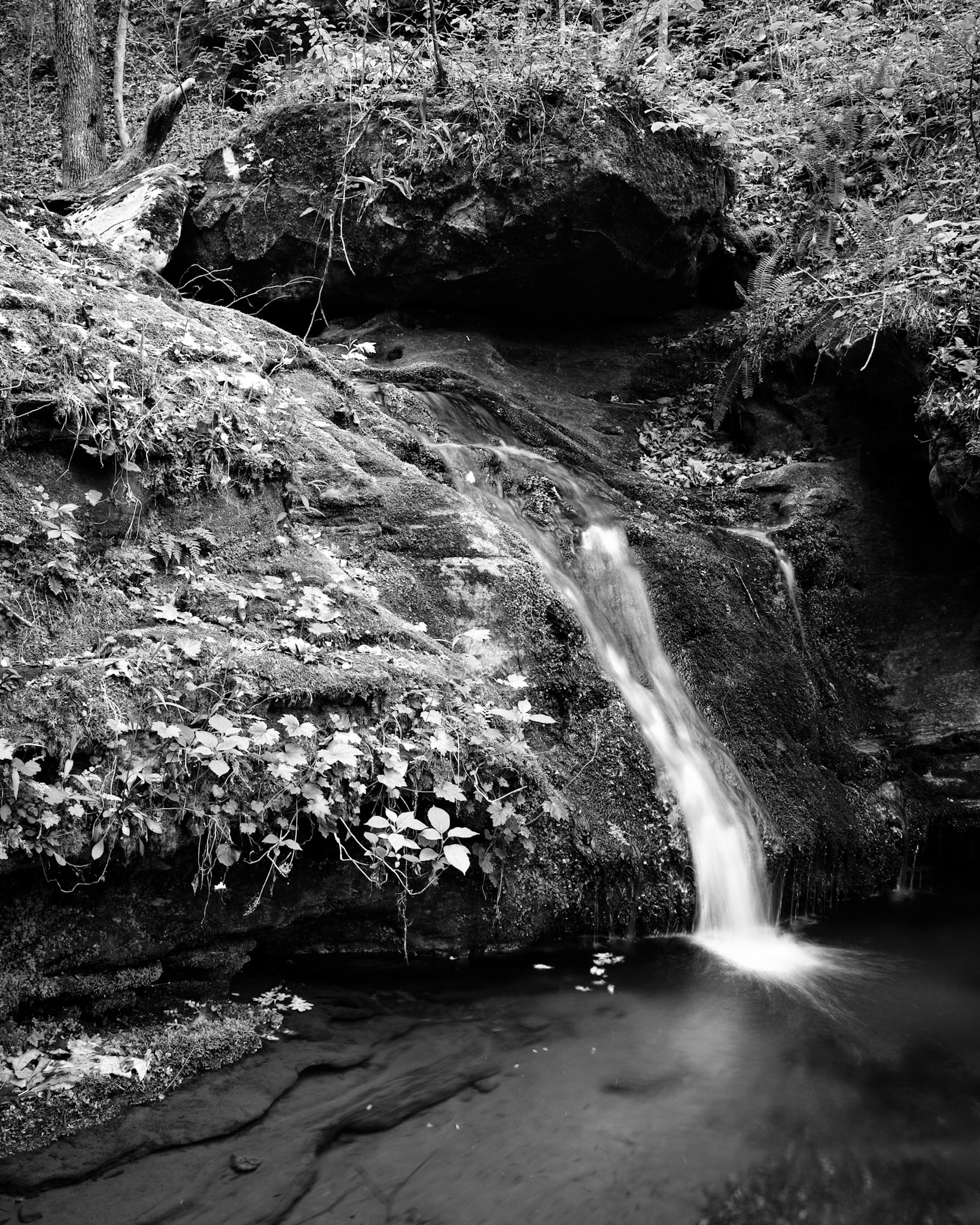 Indian Creek #24 : Arkansas, April 2006