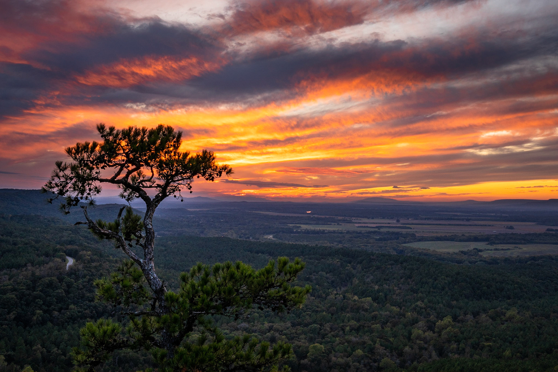 Petit Jean #6 : Arkansas, October 2019