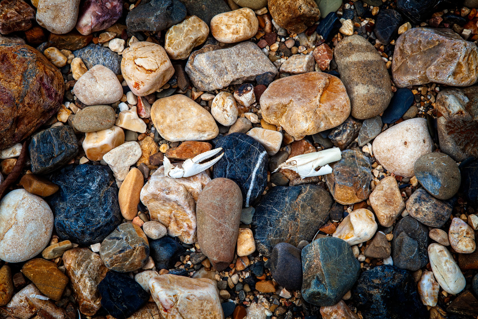 Cossatot River Natural Area #4 : Arkansas, September 2011