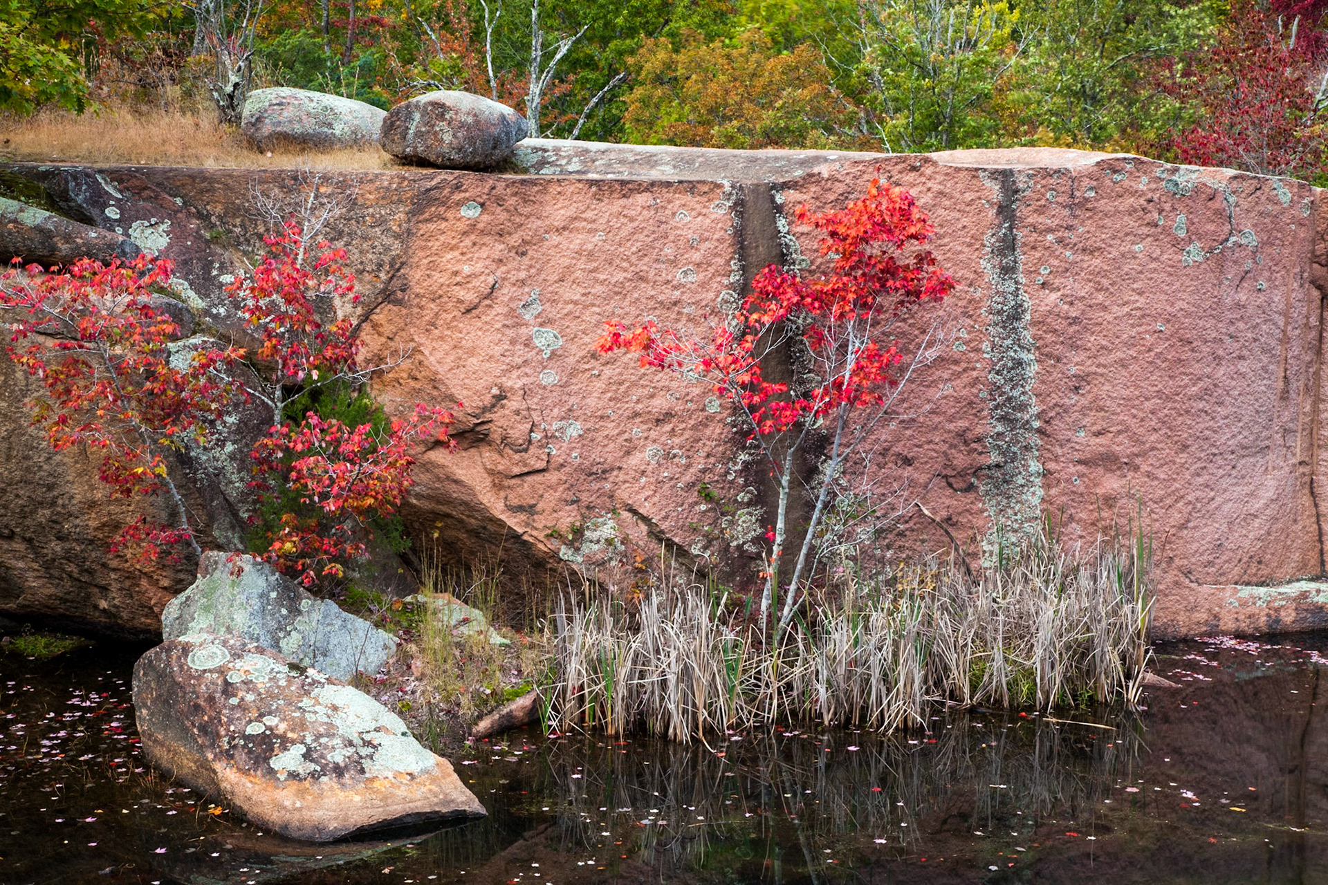 Elephant Rocks #15 : Missouri, October 2013