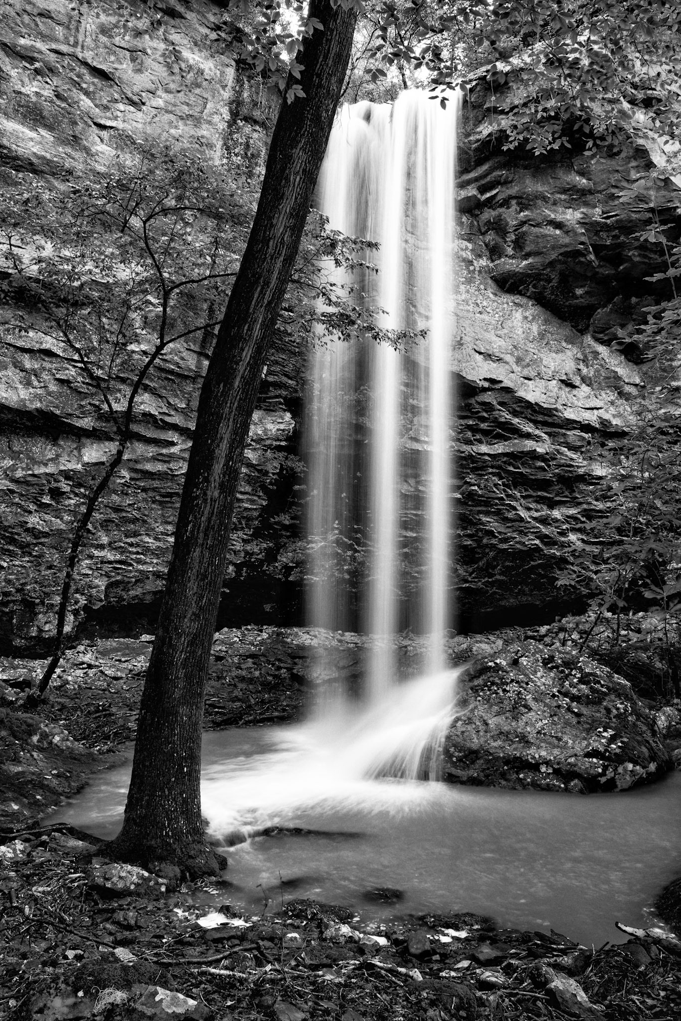 Piney Bowl Falls #1 : Arkansas, May 2017