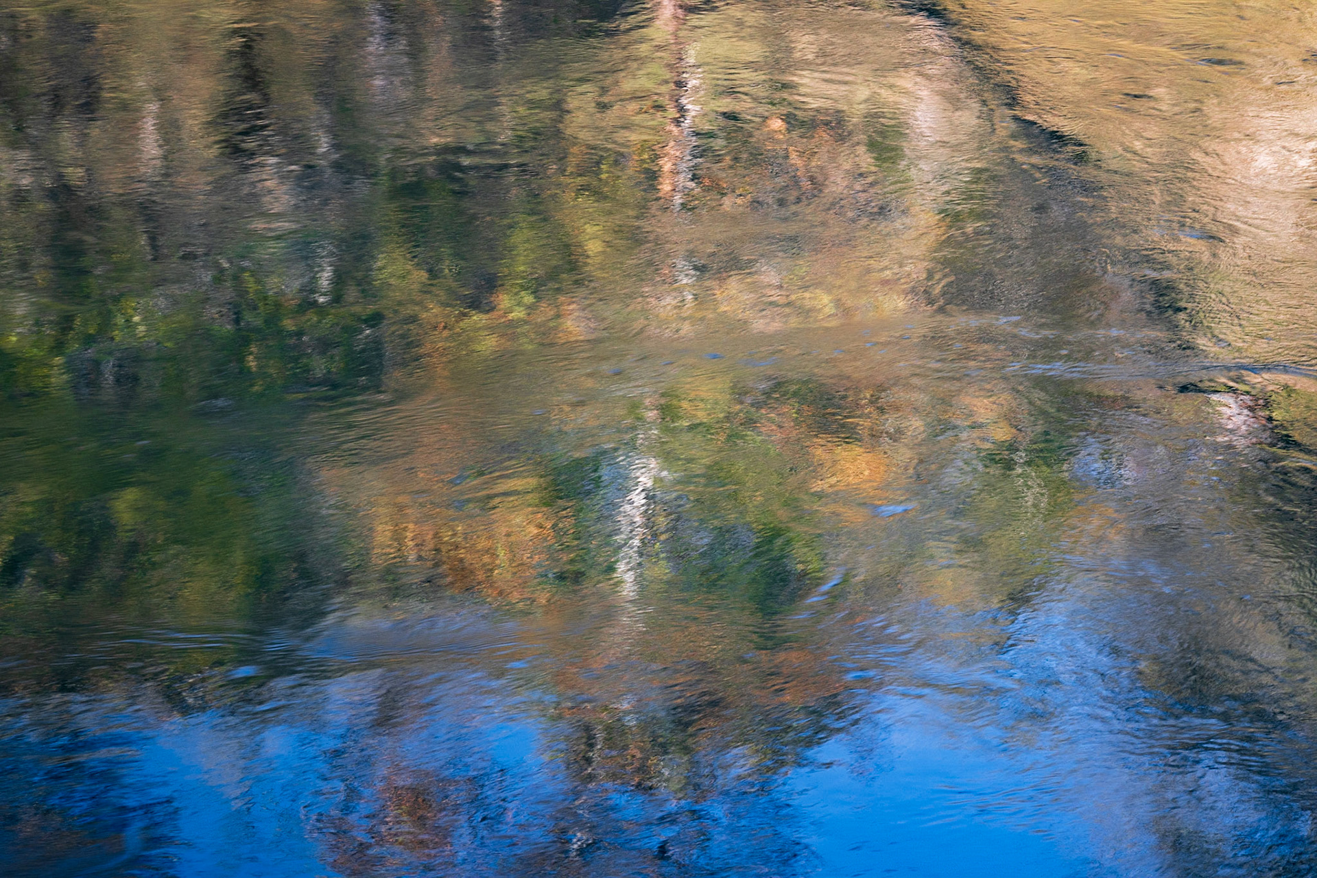 HaHa Tonka SP #8 : Missouri, November 2019