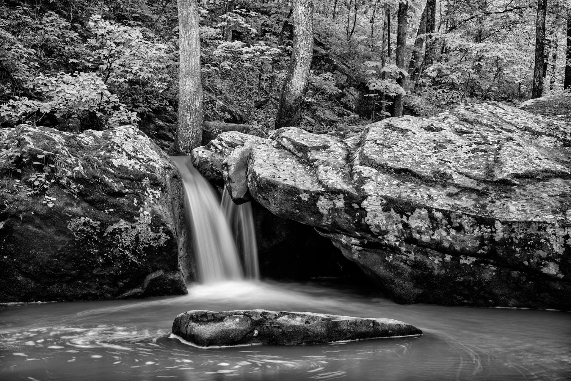Smith Creek Preserve #8 : Arkansas, April 2016