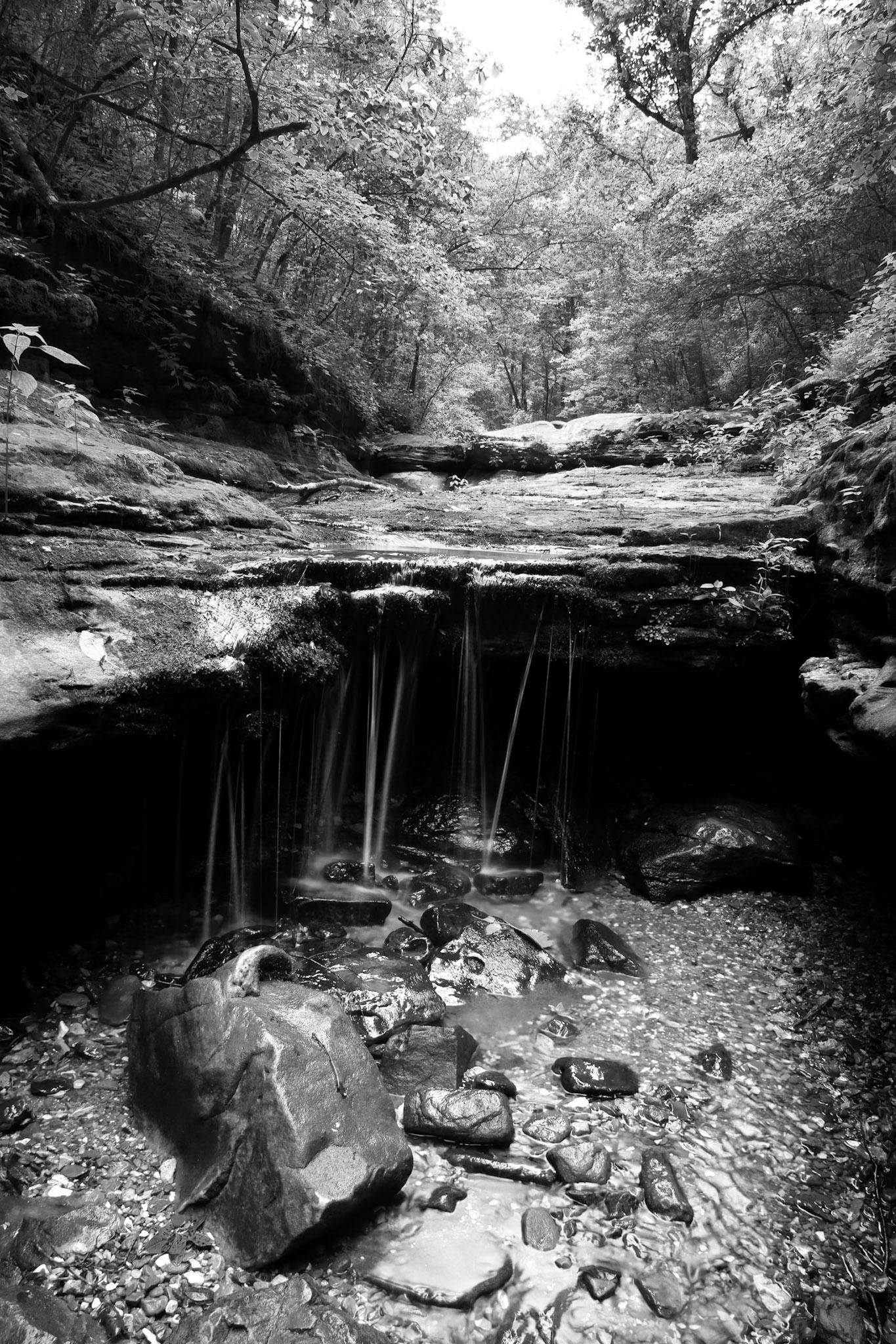 Indian Creek #26 : Arkansas, June 2007