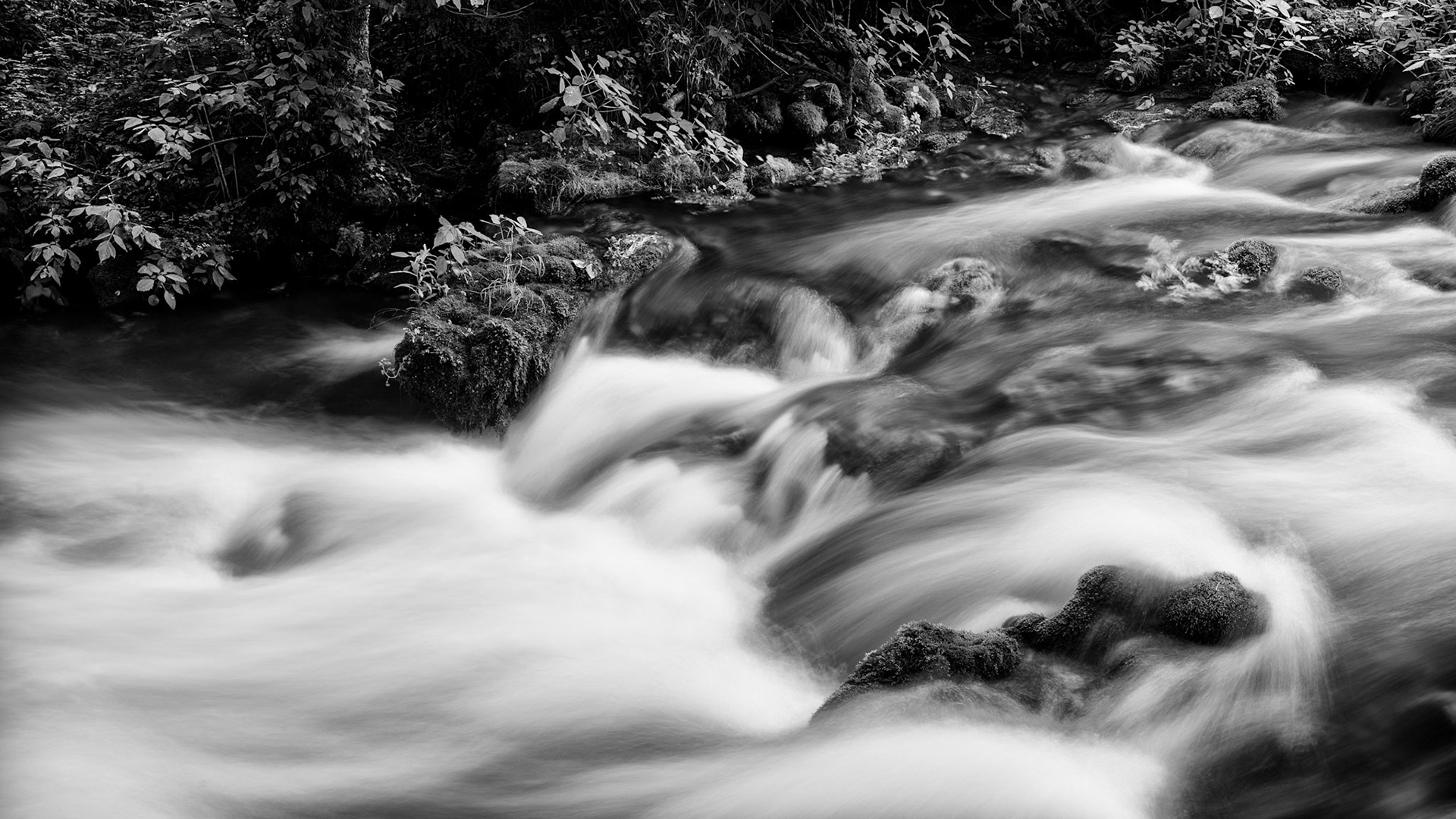 Alley Spring #1 : Missouri, June 2015