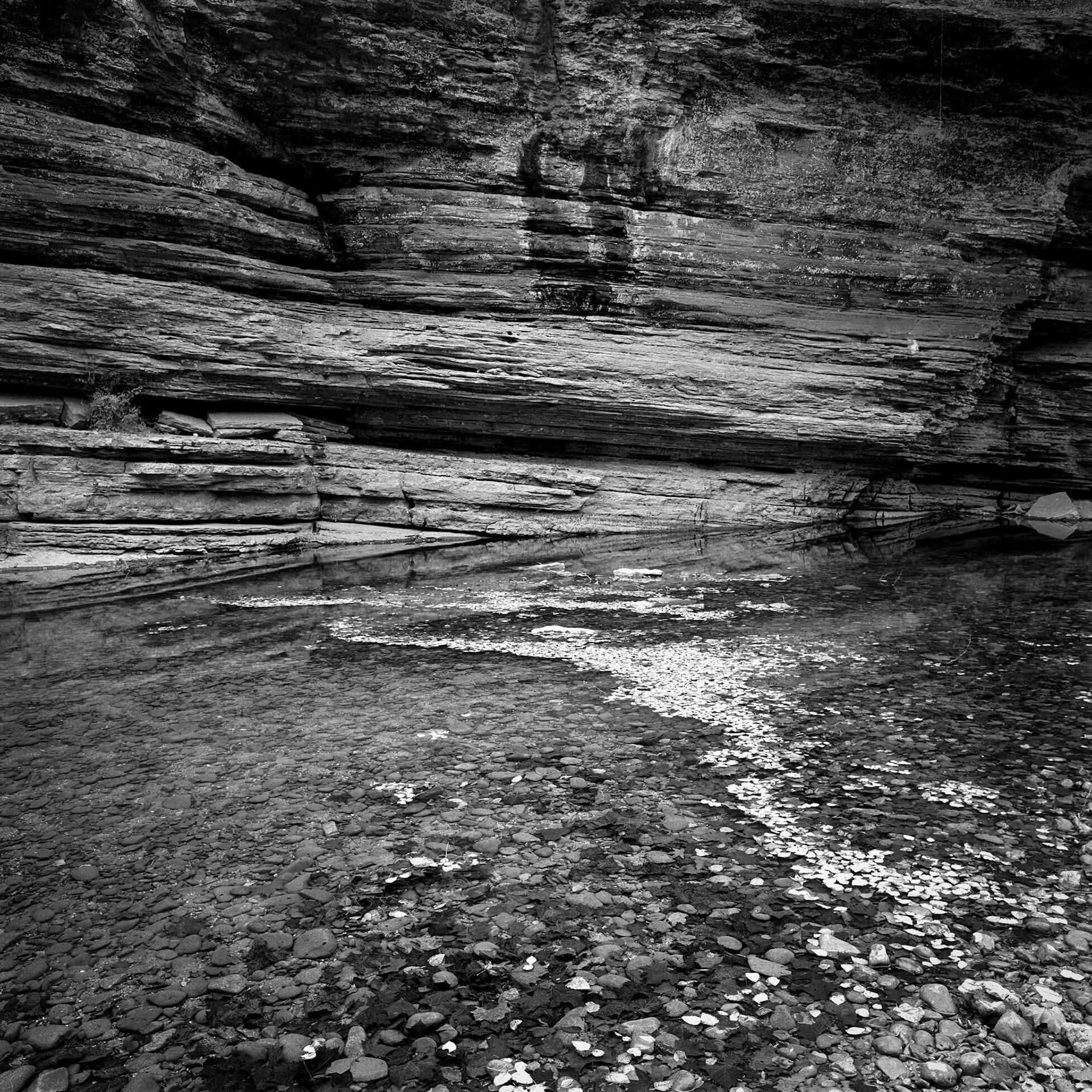 Buffalo River #16 : Arkansas, October 2002