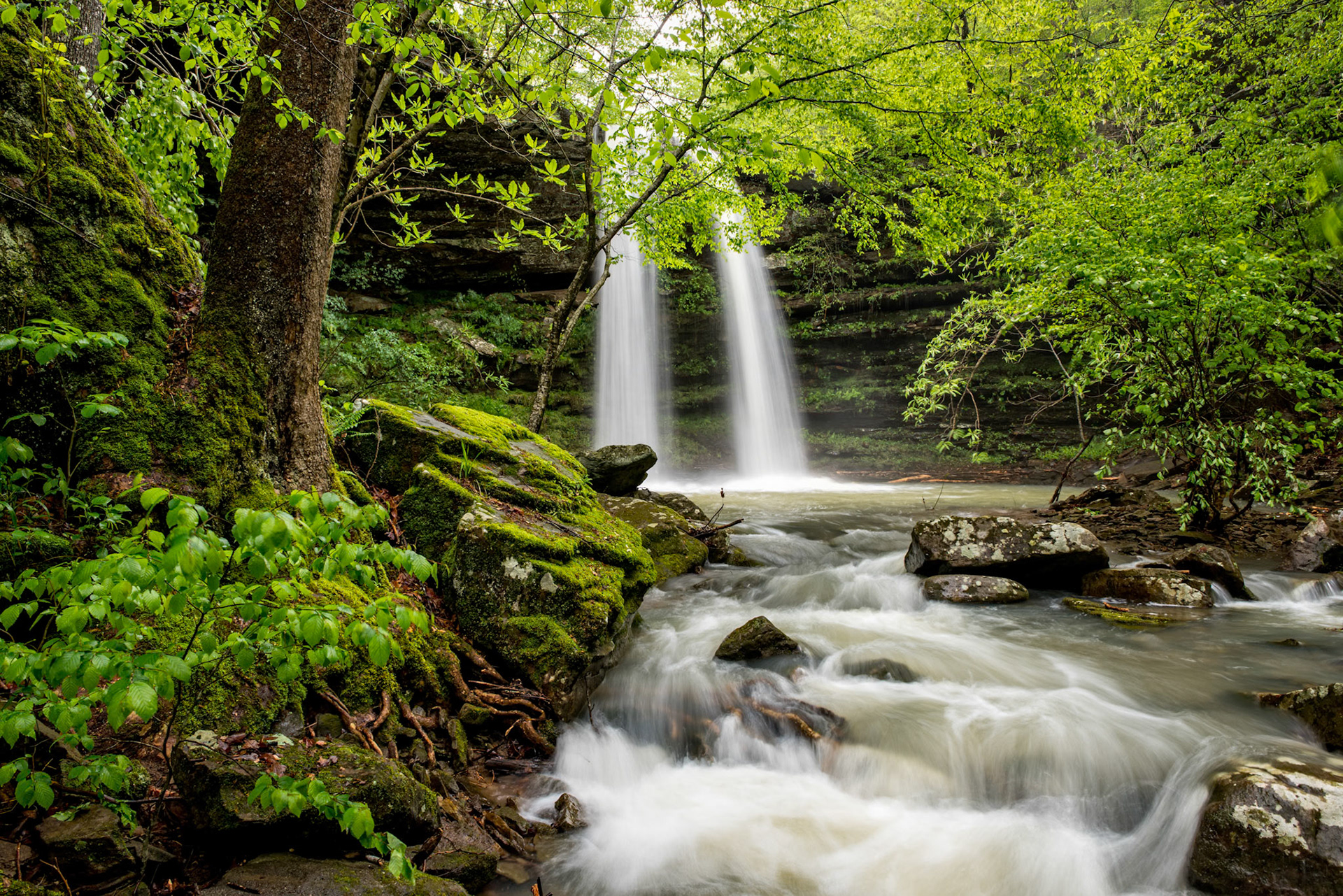 Ouachita National Forest #7 : Arkansas, April 2017