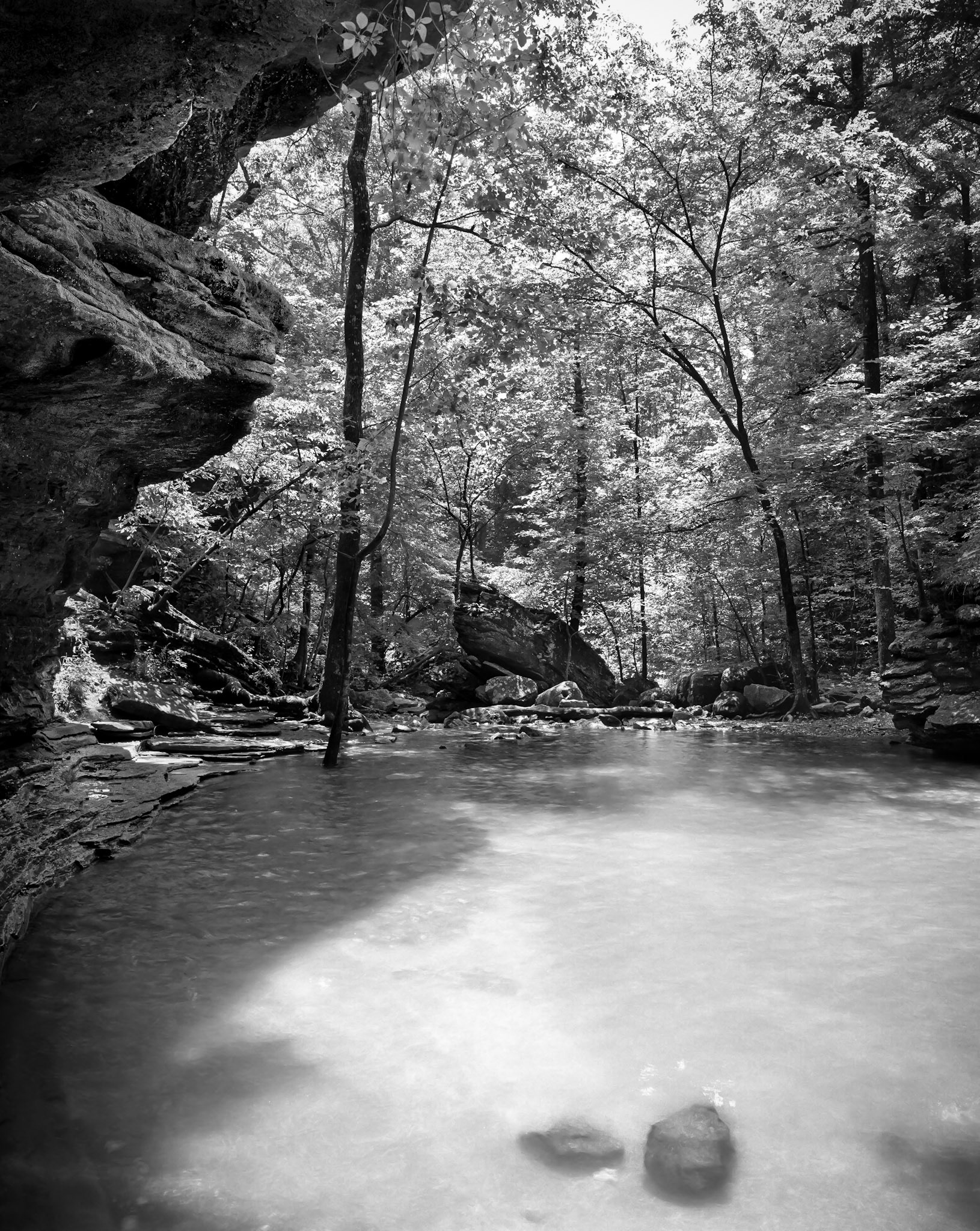 Lost Valley #8 : Arkansas, June 2000