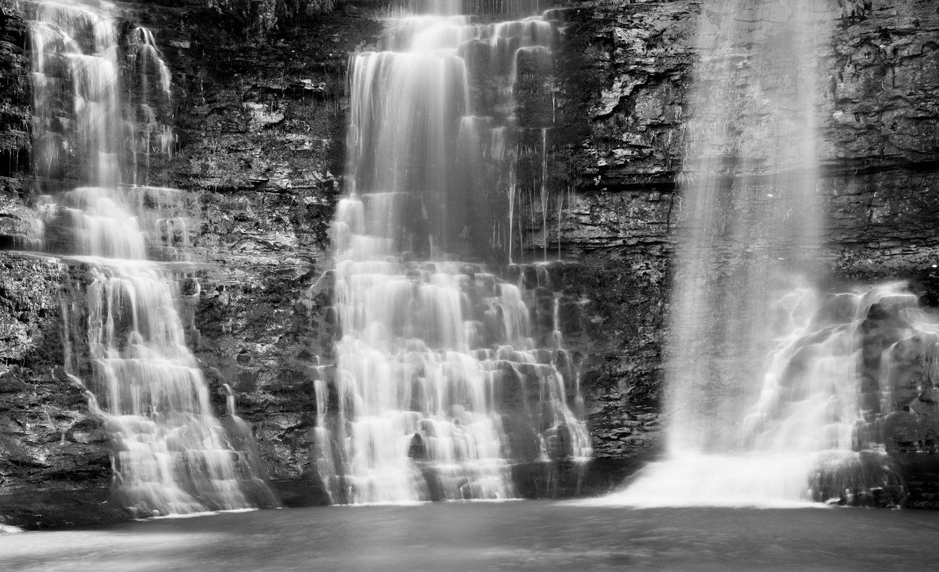Buffalo National River Area #11 : Arkansas, March 2009