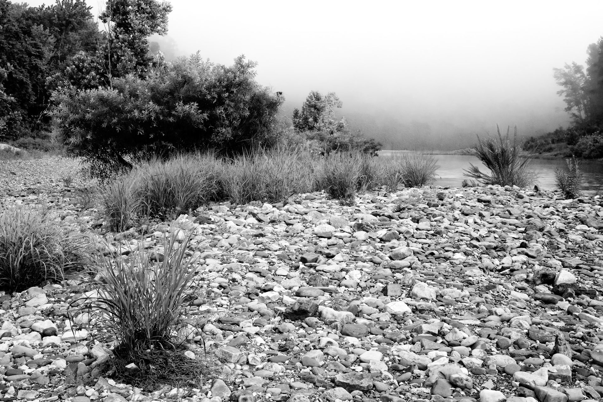 Buffalo Point #4 : Arkansas, July 2007