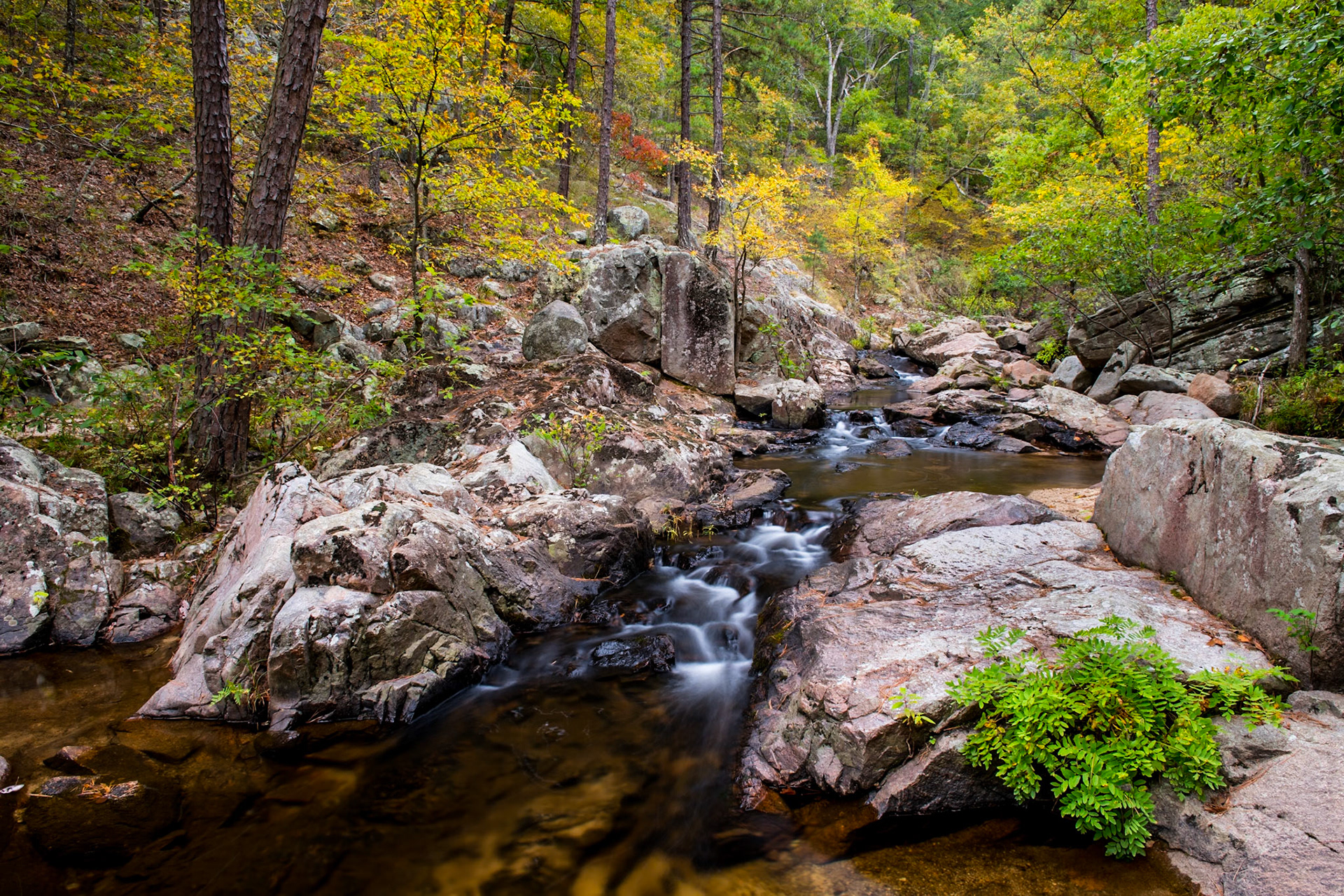 Pickle Creek, Hawn SP #9 : Missouri, October 2015