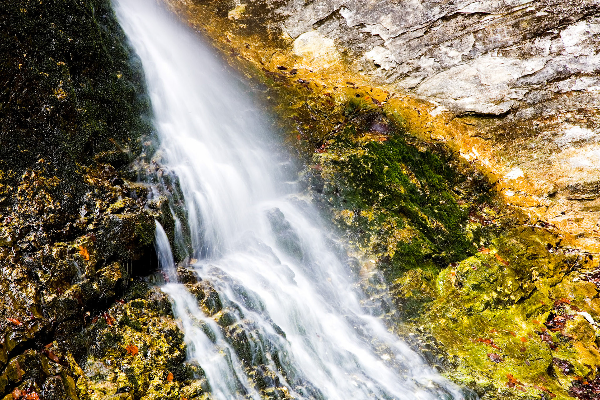 Lost Valley #19 : Arkansas, April 2006