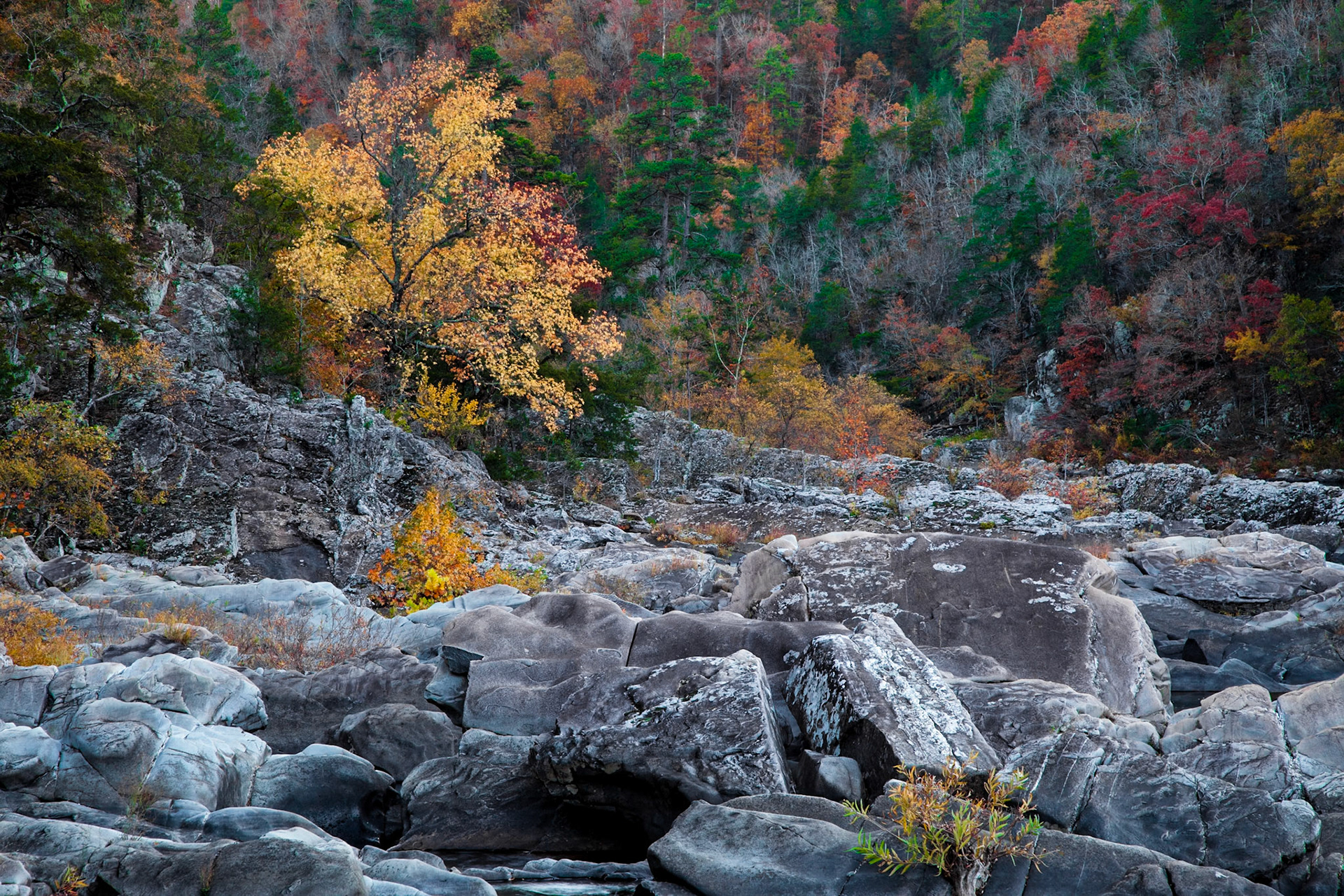 Cossatot River Natural Area #10 : Arkansas, November 2012