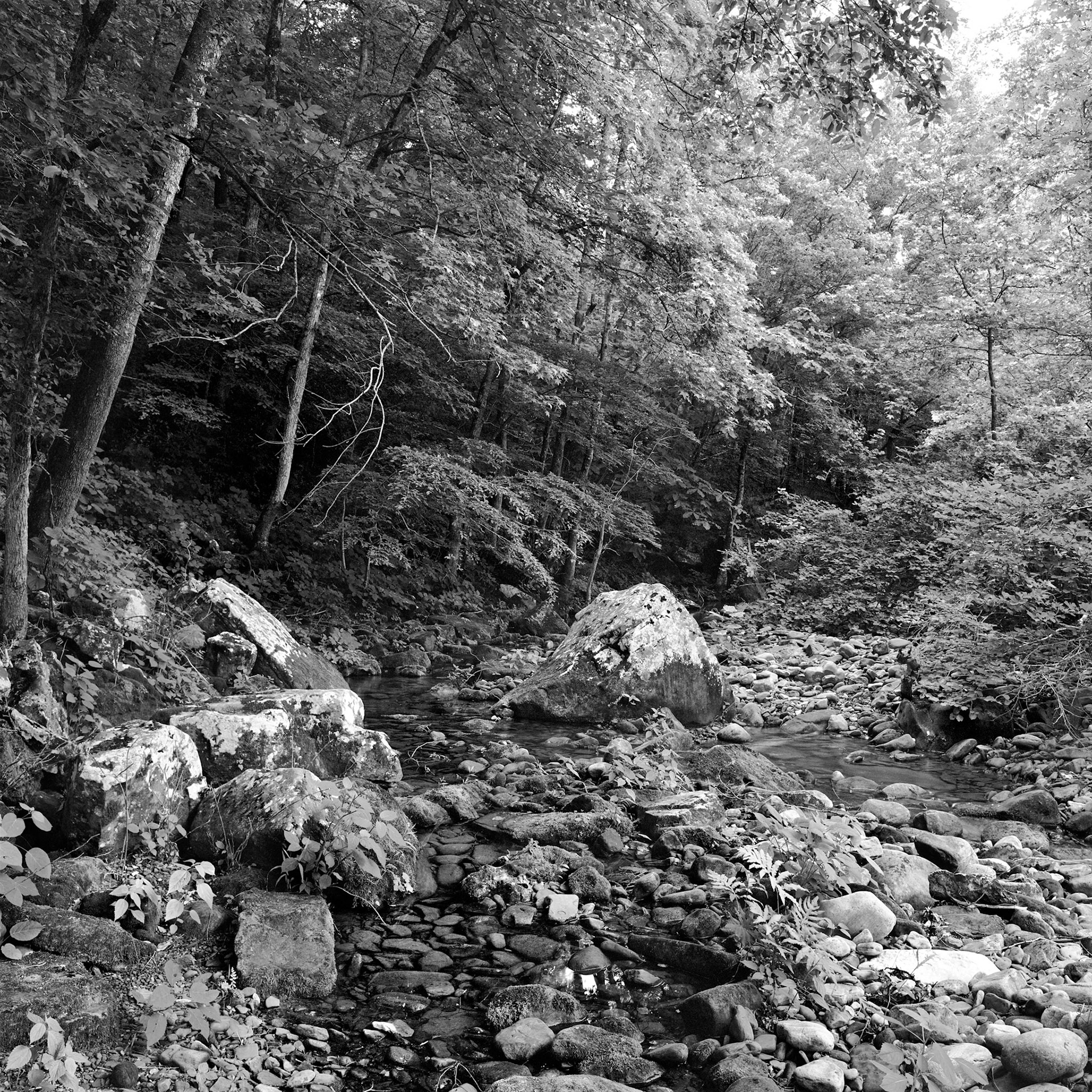 Buffalo River #7 : Arkansas, June 2001