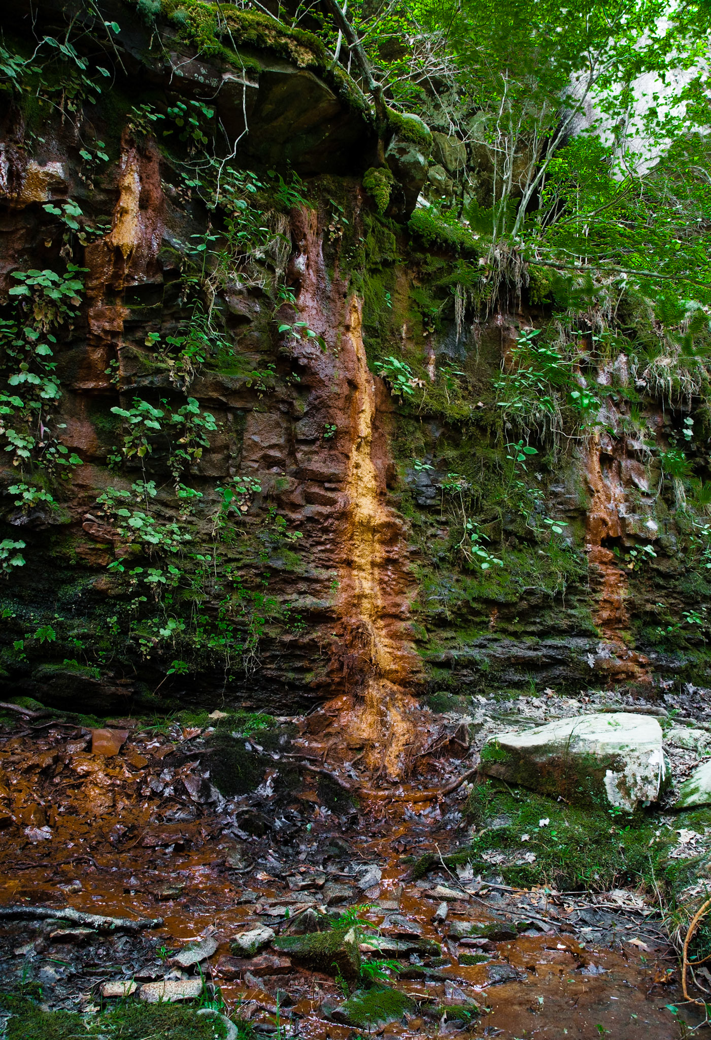 Petit Jean #36 : Arkansas, April 2009