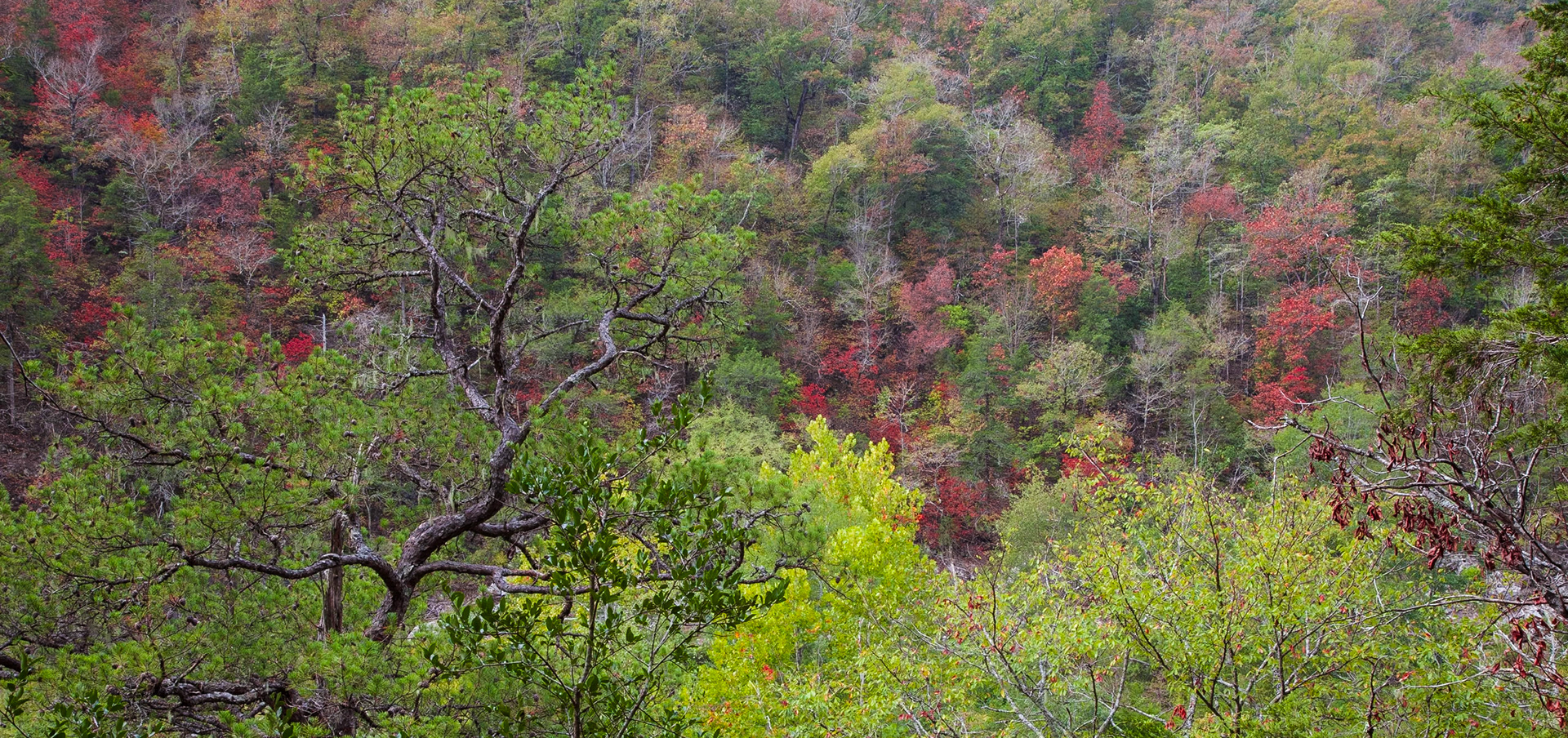 Cossatot River Natural Area #1 : Arkansas, September 2011