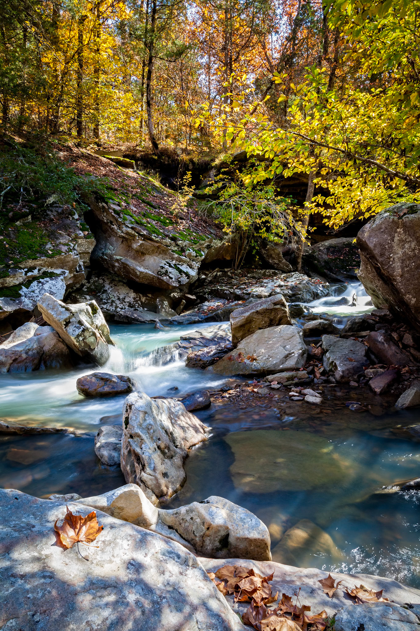 Richland Creek Wilderness Area #9 : Arkansas, October 2016