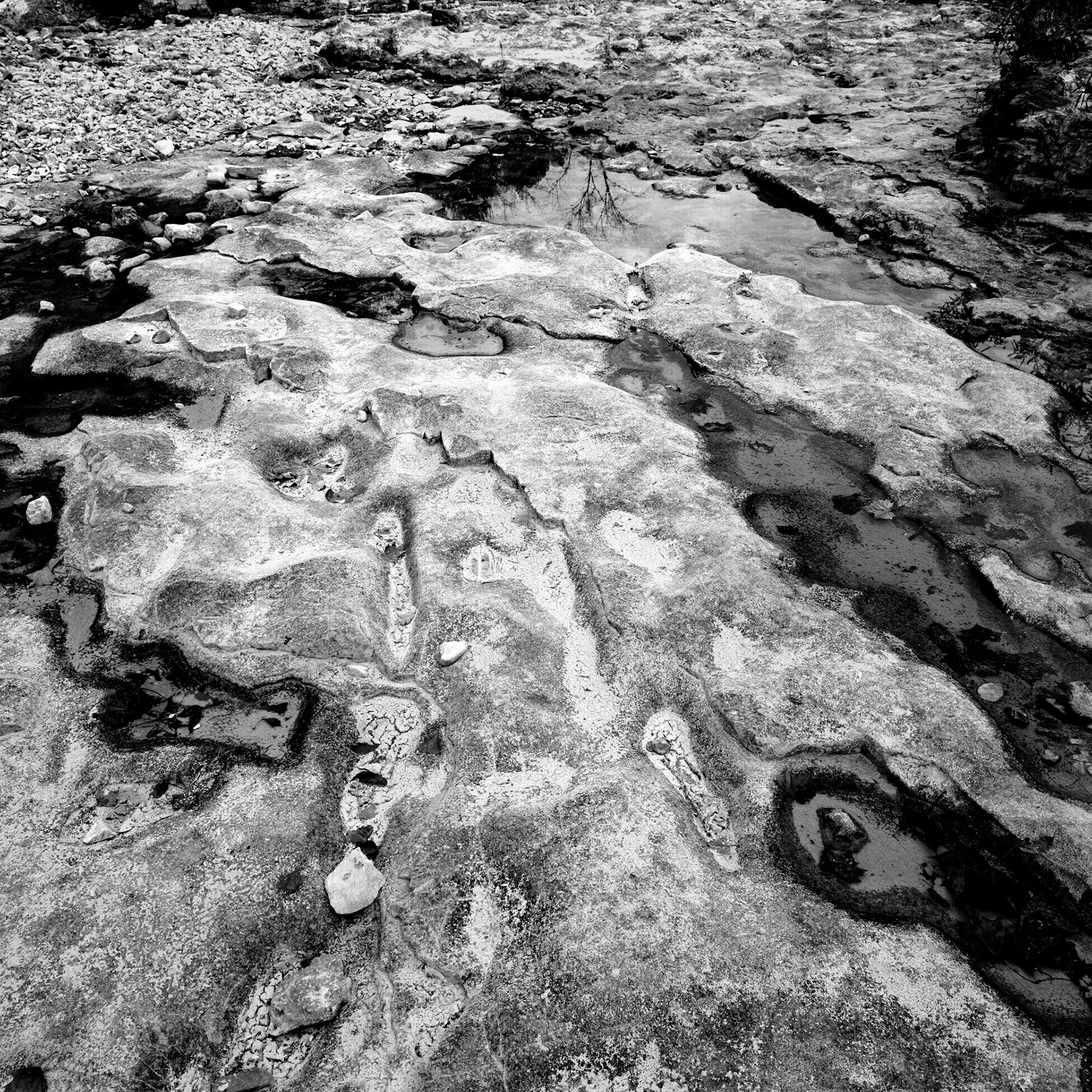 Swan Creek Mark Twain Forest #5 : Missouri, September 2004