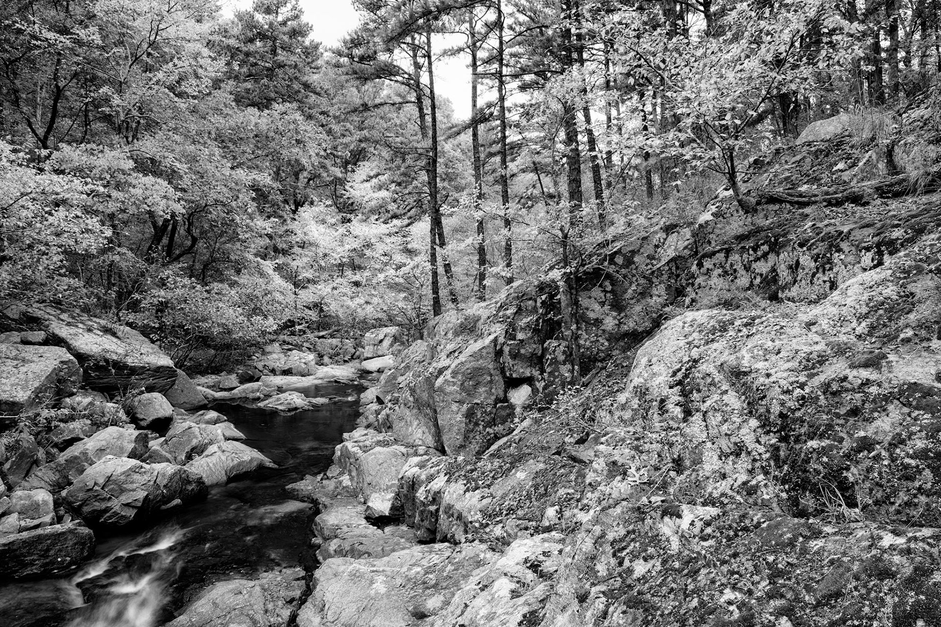 Hawn State Park #13 : Missouri, October 2015