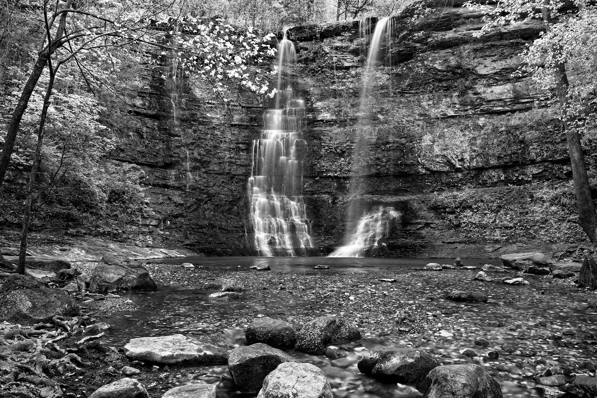 Buffalo National River Area #15 : Arkansas, April 2017