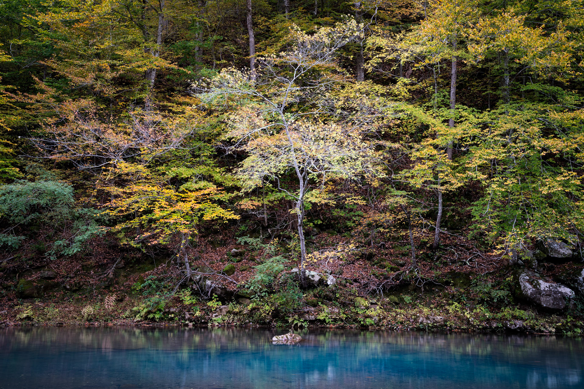 Buffalo River #6 : Arkansas, October 2018