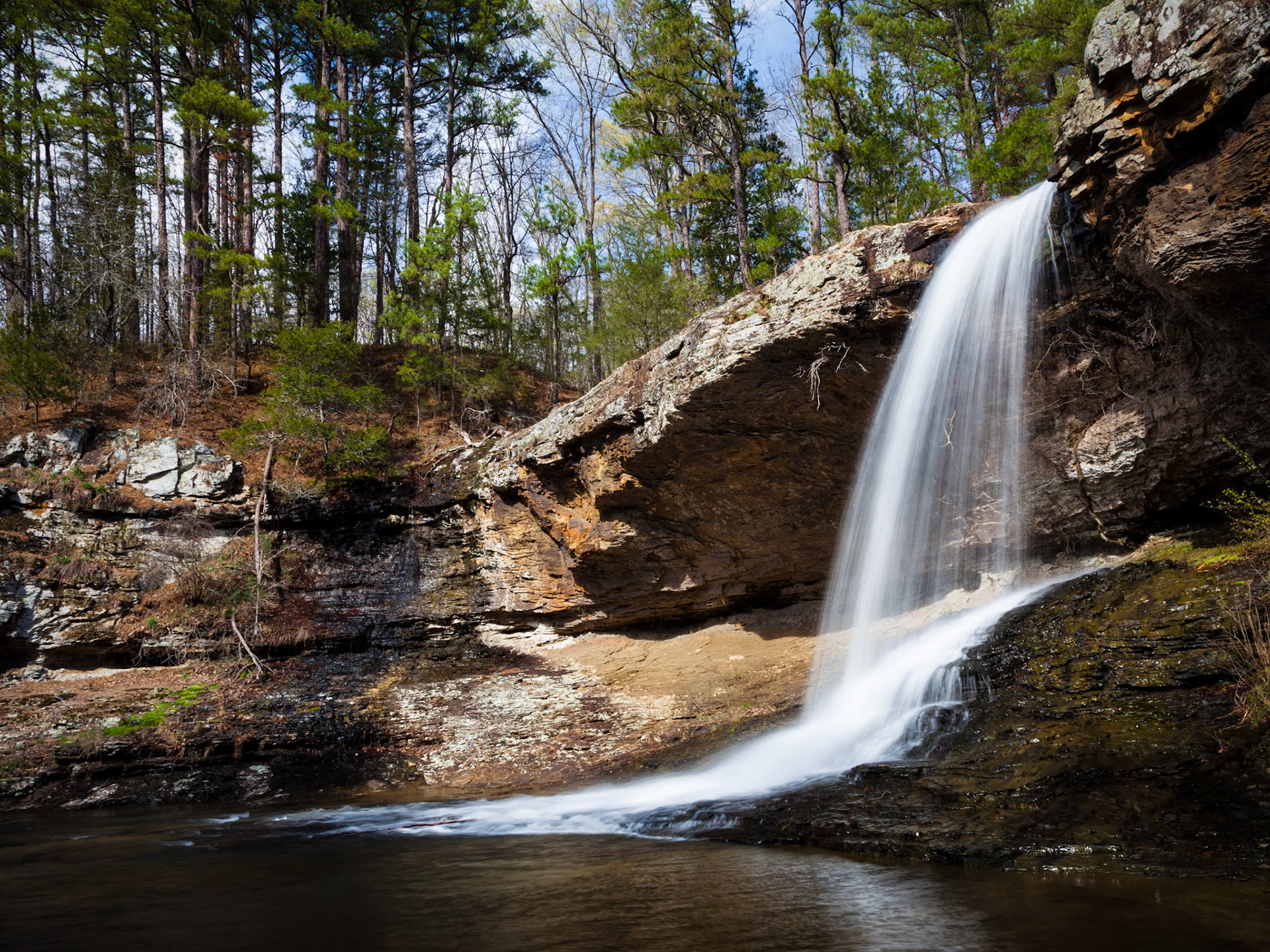 White Oak Creek #1 : Arkansas, March 2012