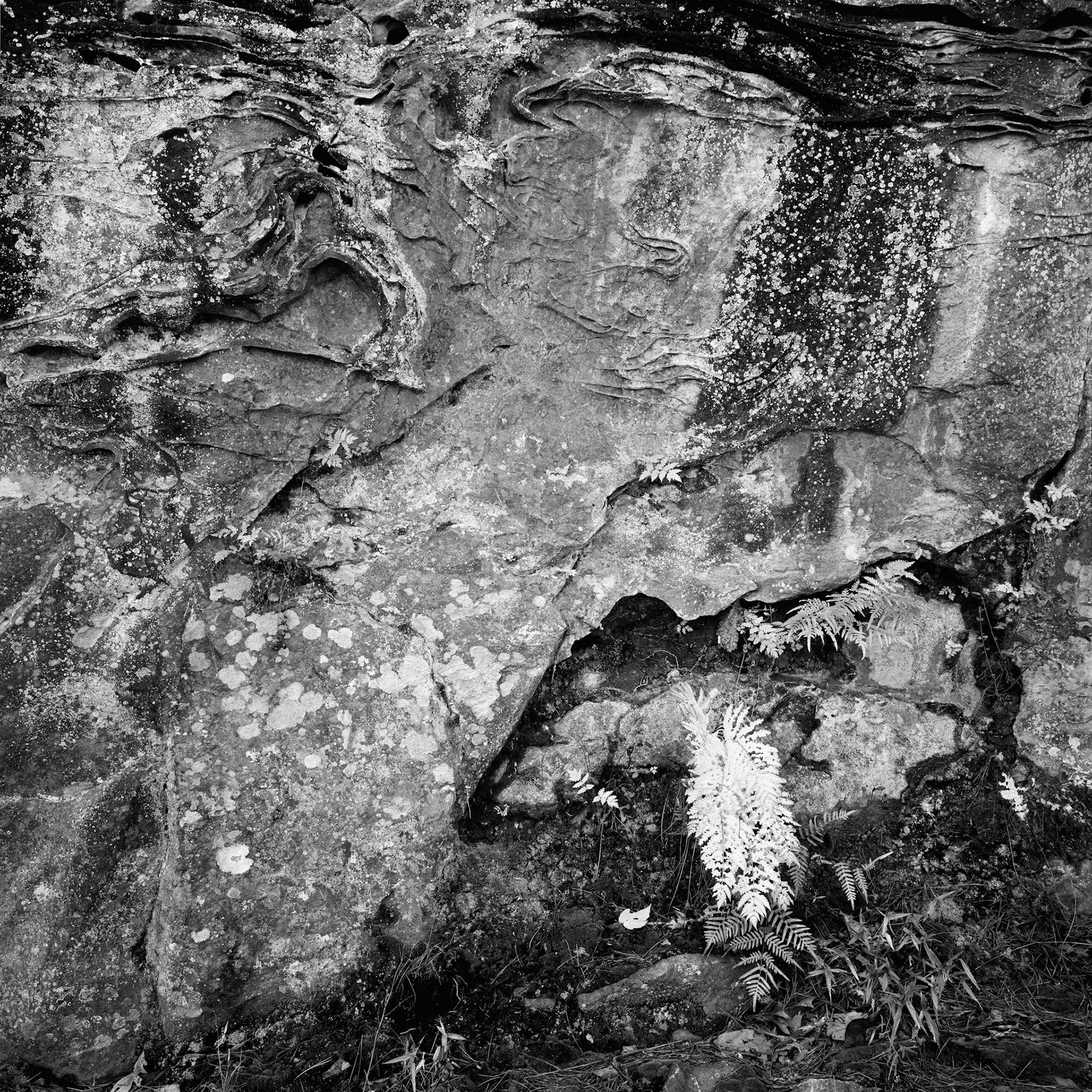 Petit Jean #19 : Arkansas, October 2001